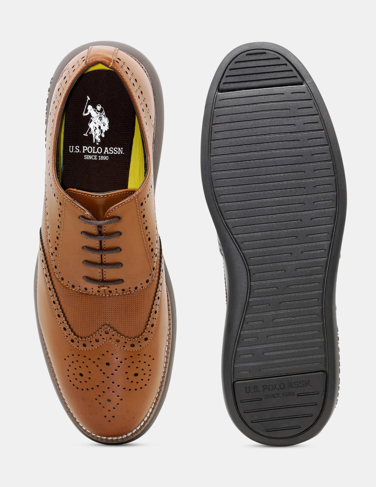 Round Toe Wingtip Marco 2.0 Brogues Tan - U.S. Polo Assn. India | Large