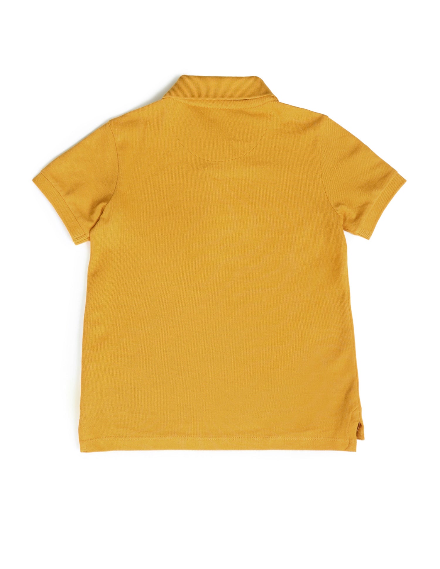 Boys Graphic Printed Regular Fit Polo Shirts Autumn Blaze - U.S. Polo Assn. India | Large