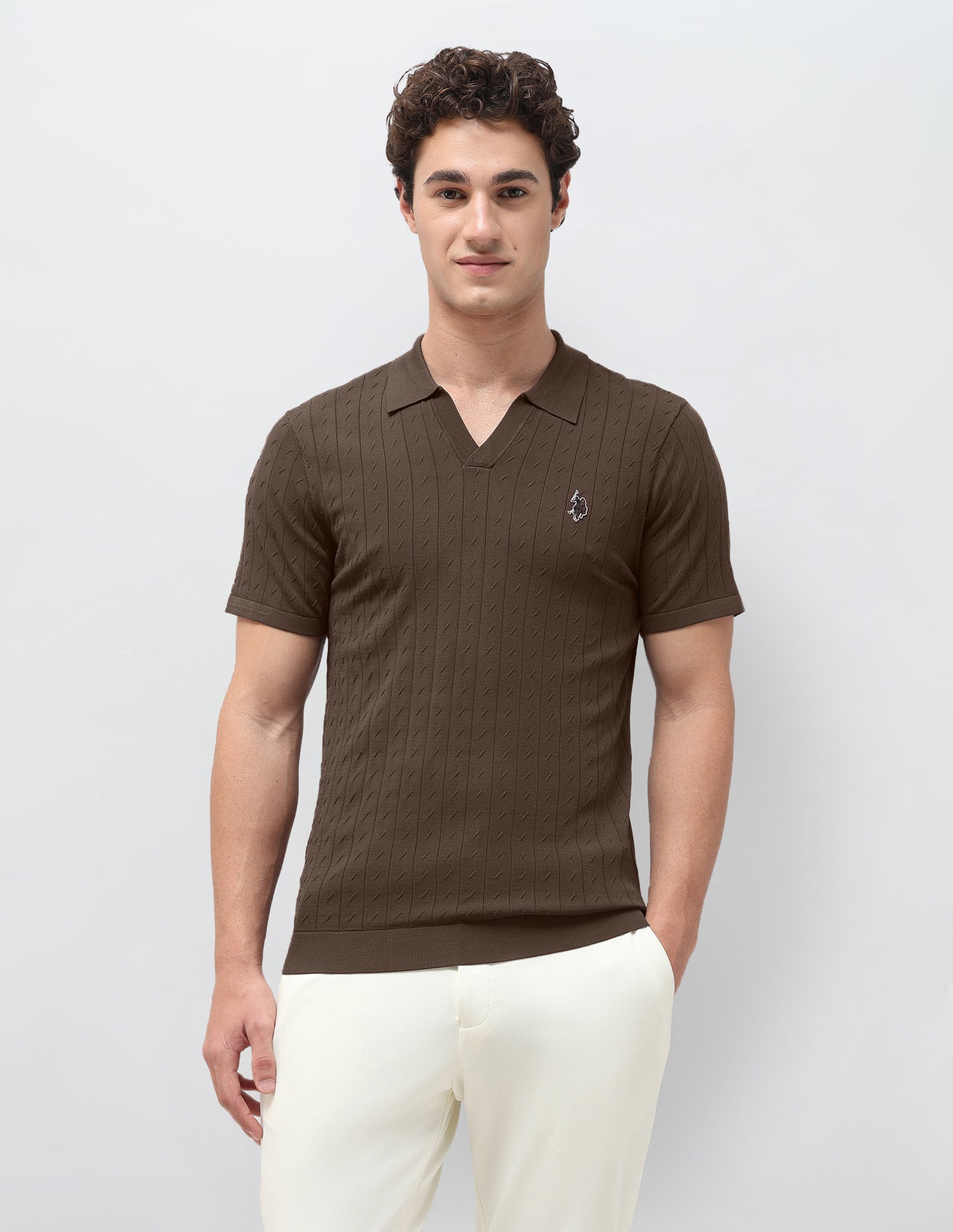 Self Design Vertical Striped Slim Fit Polo Shirt Brown - U.S. Polo Assn. India | Large
