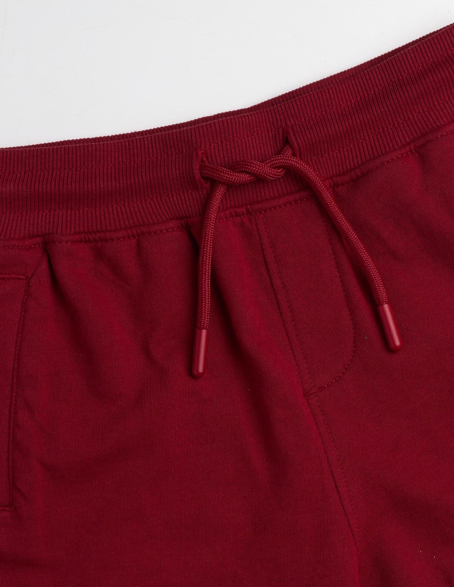 Boys Brand Printed Regular Fit Shorts Red - U.S. Polo Assn. India | Large