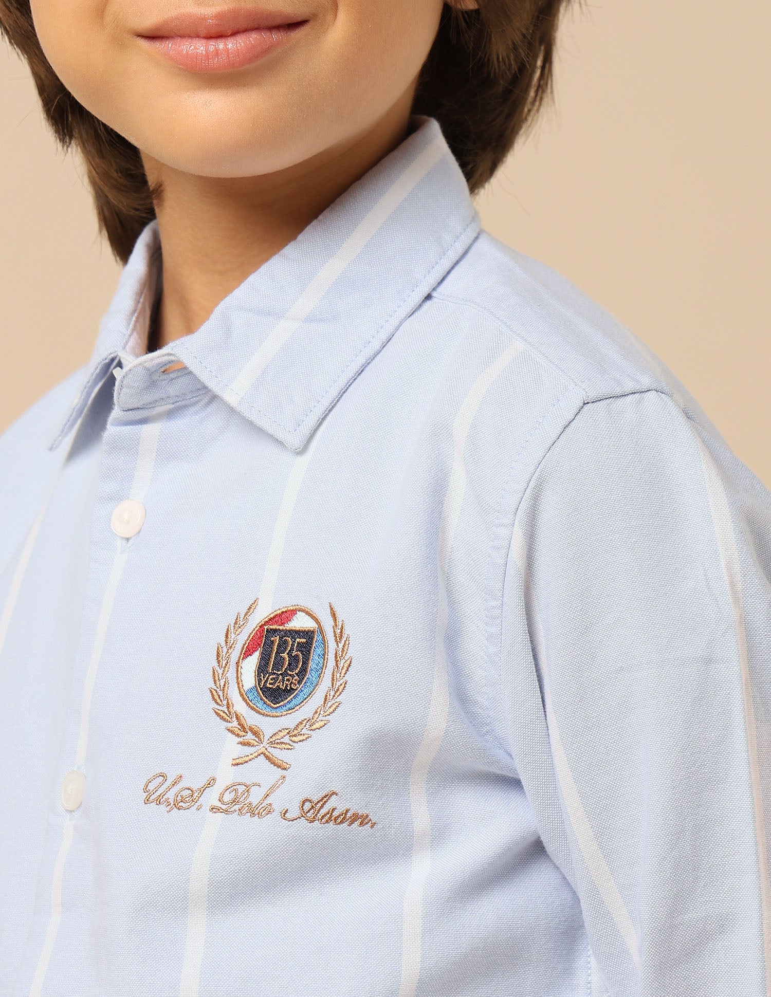 Boys Vertical Striped Oxford Shirt Blue - U.S. POLO ASSN. | Large