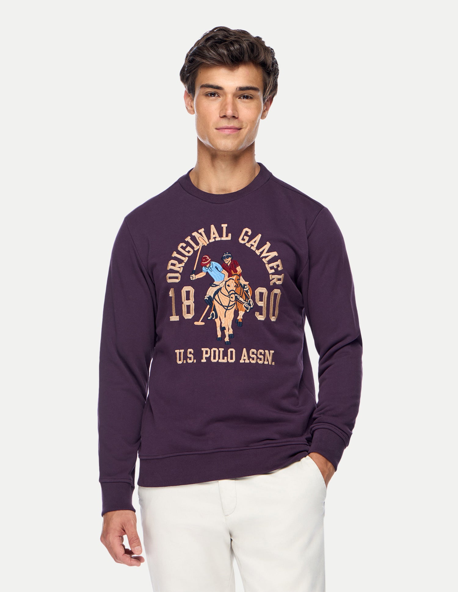 Graphic Brand Printed Regular Fit Sweatshirt Purple - U.S. Polo Assn. India | Large