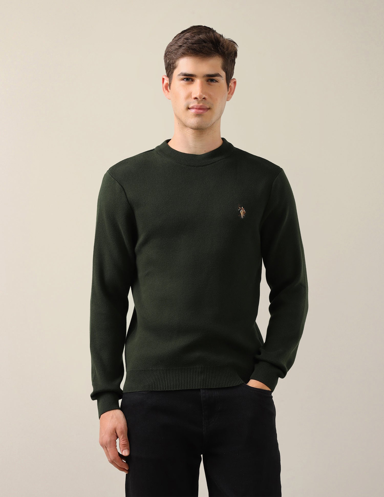 Solid Regular Fit Sweater Dark Green - U.S. Polo Assn. India | Large