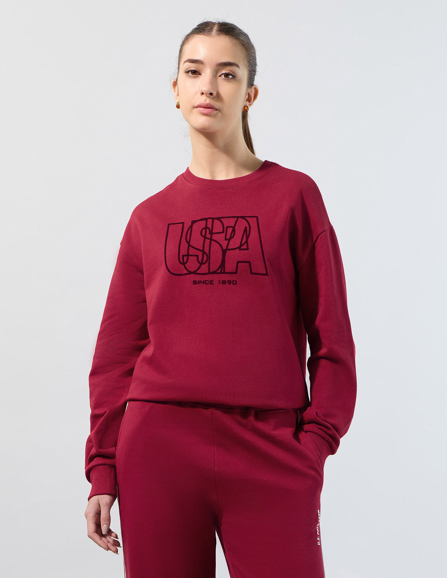 Relaxed Fit Brand Printed Sweatshirt Dark Red - U.S. POLO ASSN. | Large