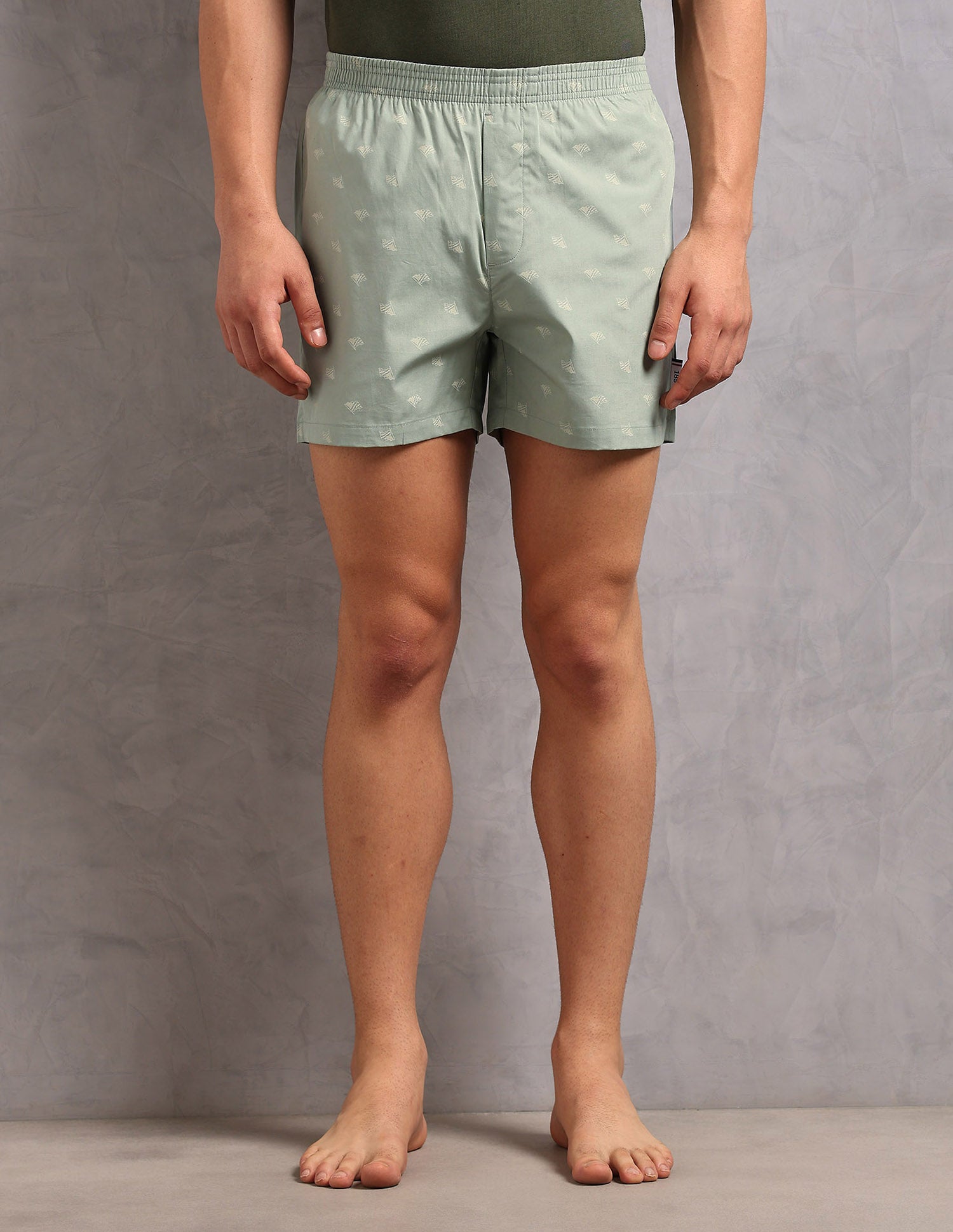 Printed Cotton OEX12 Boxers - Pack Of 1 Light Green - U.S. Polo Assn. India | Large