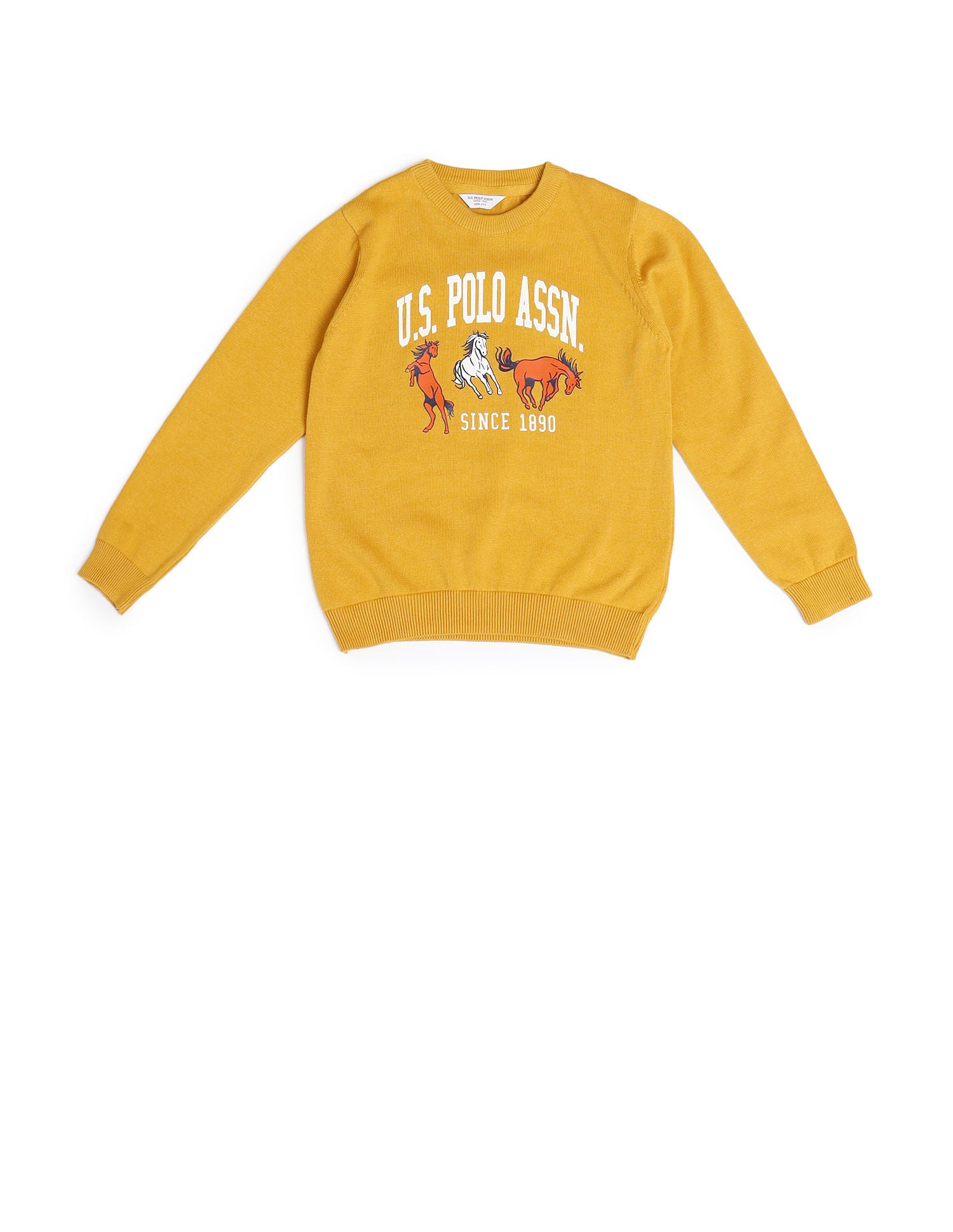Boys Printed Cotton Sweater Yellow - U.S. POLO ASSN. | Large