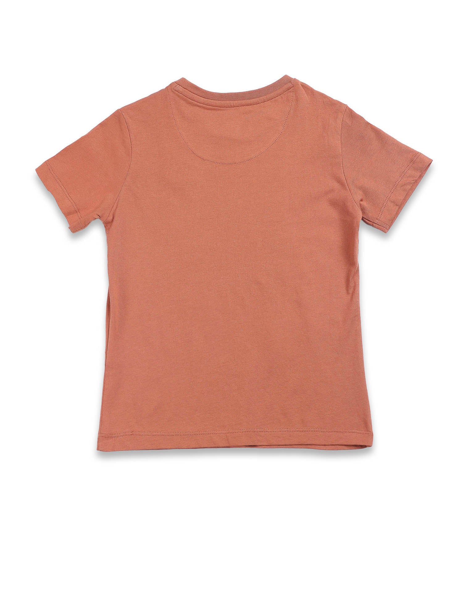Boys Graphic Print Cotton T-Shirt Rust - U.S. Polo Assn. India | Large