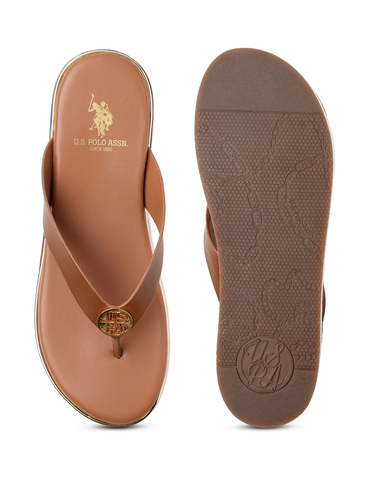 Women Tracy Eva Wegdes Tan - U.S. Polo Assn. India | Large