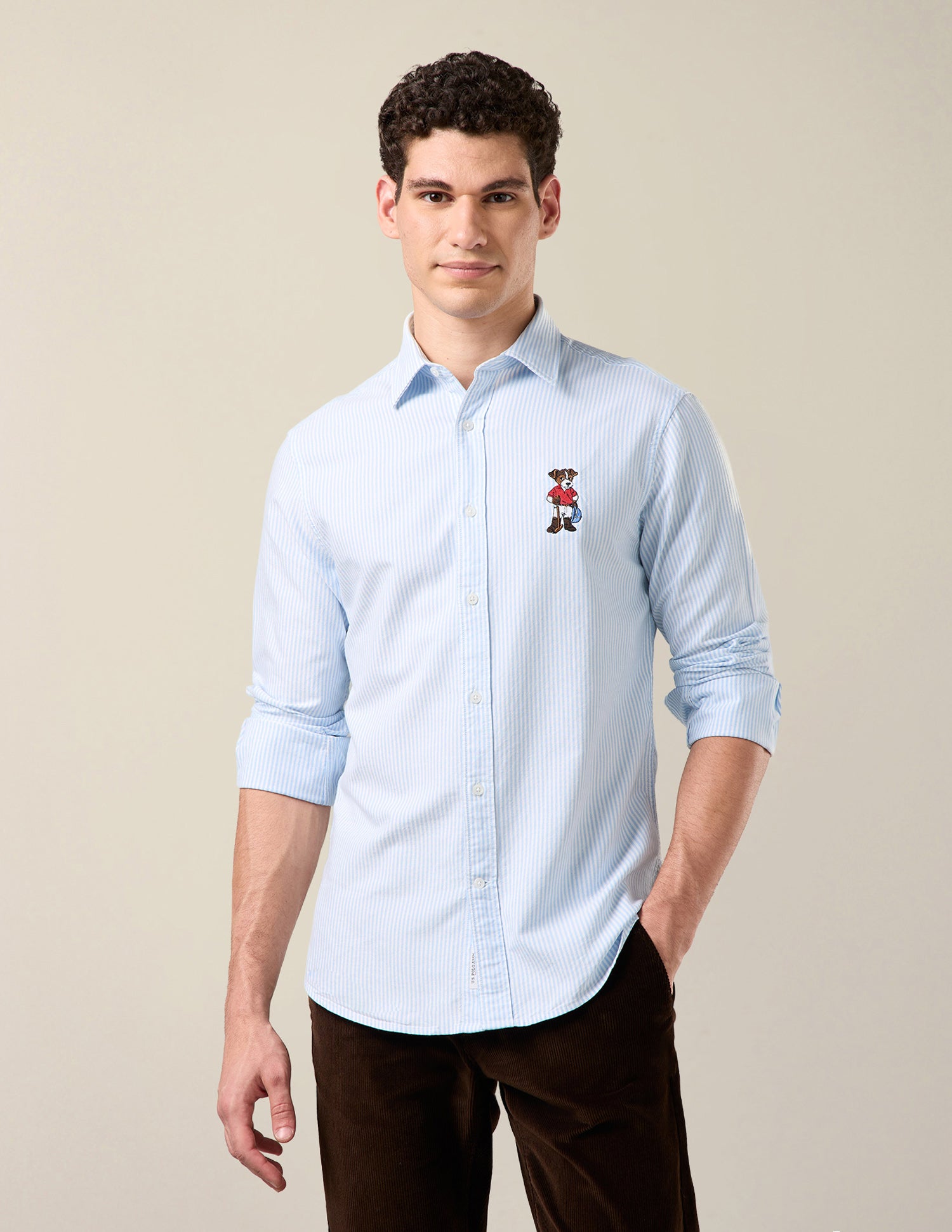 Vertical Striped Oxford Shirt Light Blue - U.S. Polo Assn. India | Large