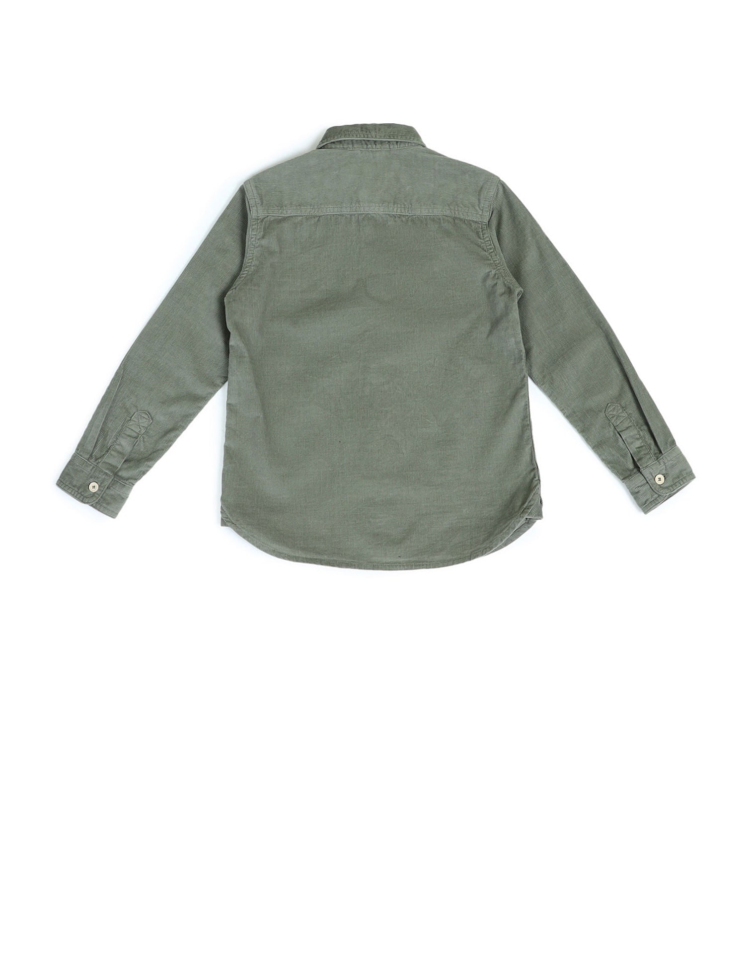 Regular Fit Corduroy Shirt Light Olive - U.S. Polo Assn. India | Large