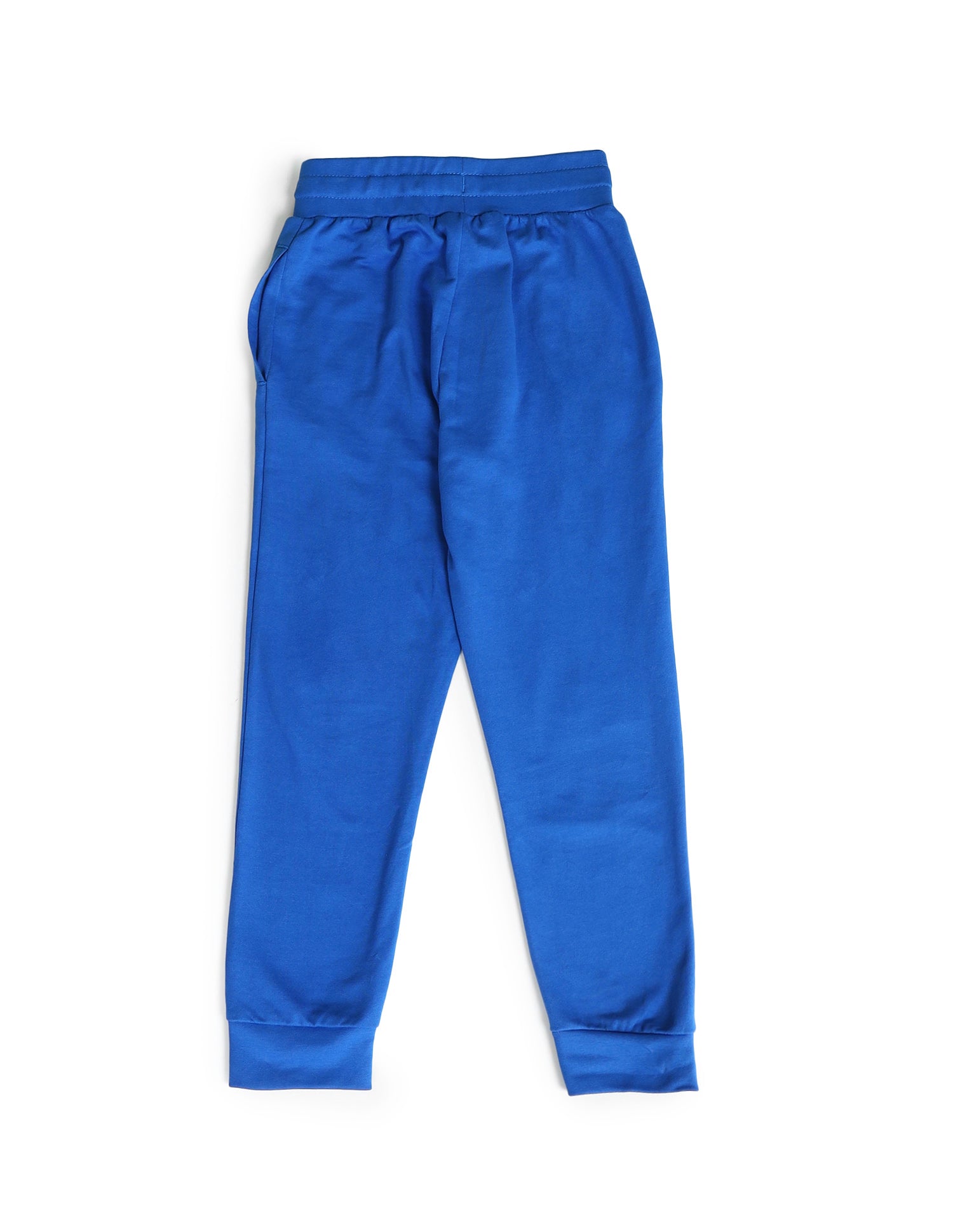 Boys Solid Regular Fit Joggers Blue - U.S. POLO ASSN. | Large