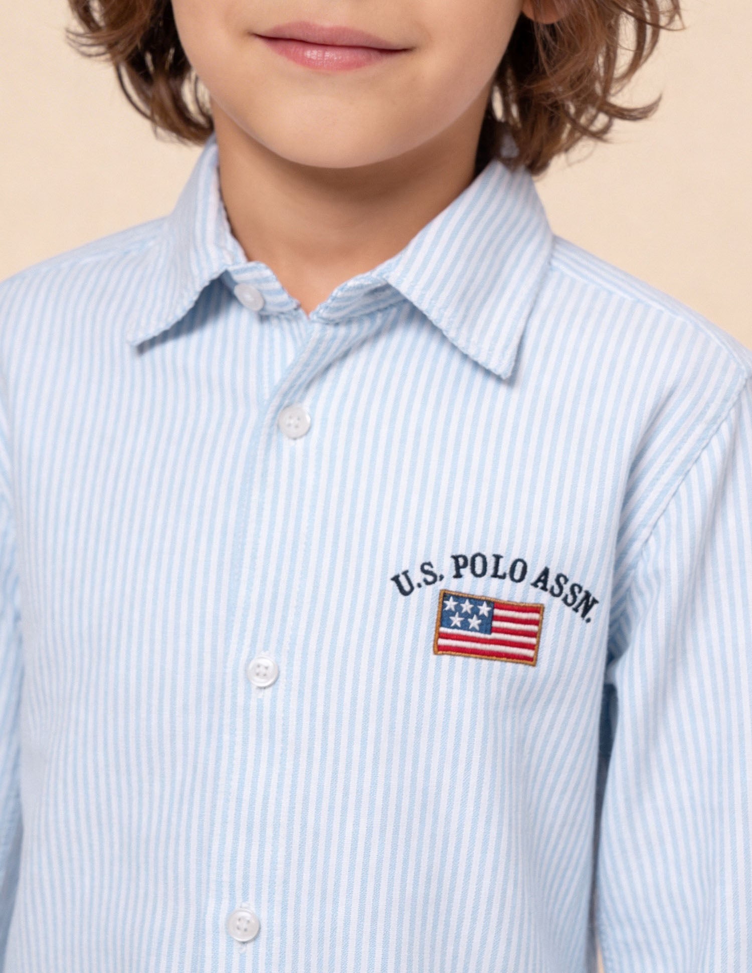 Vertical Striped Oxford Shirt Blue - U.S. Polo Assn. India | Large