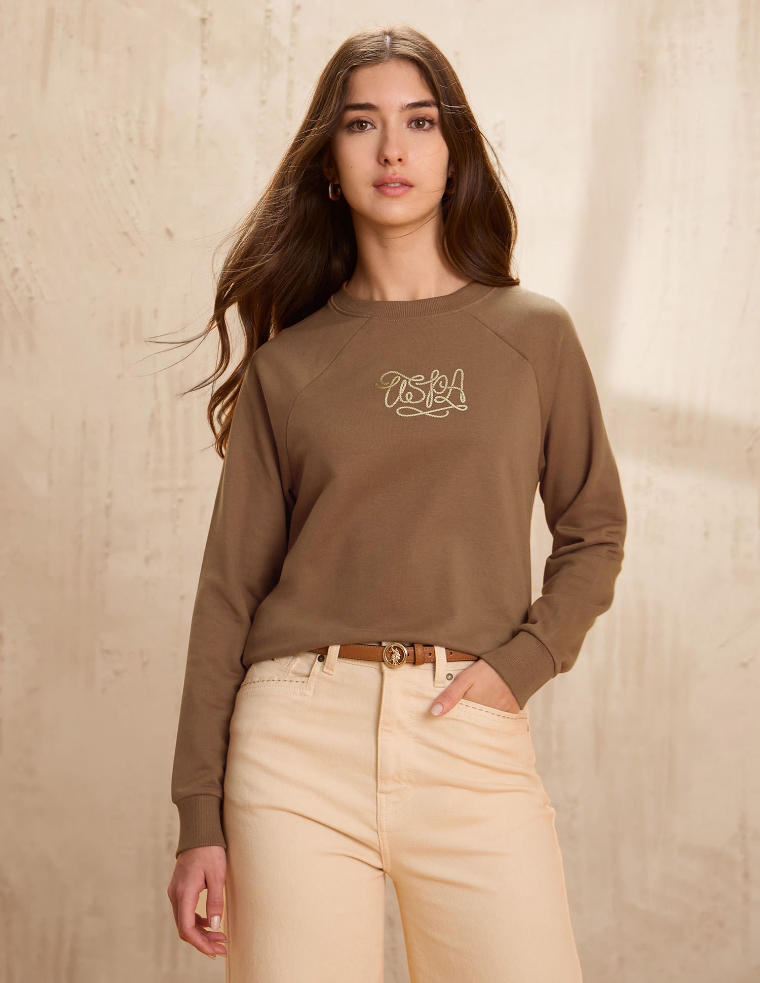 Raglan Fit Brand Printed Sweatshirt Brown - U.S. POLO ASSN. | Large