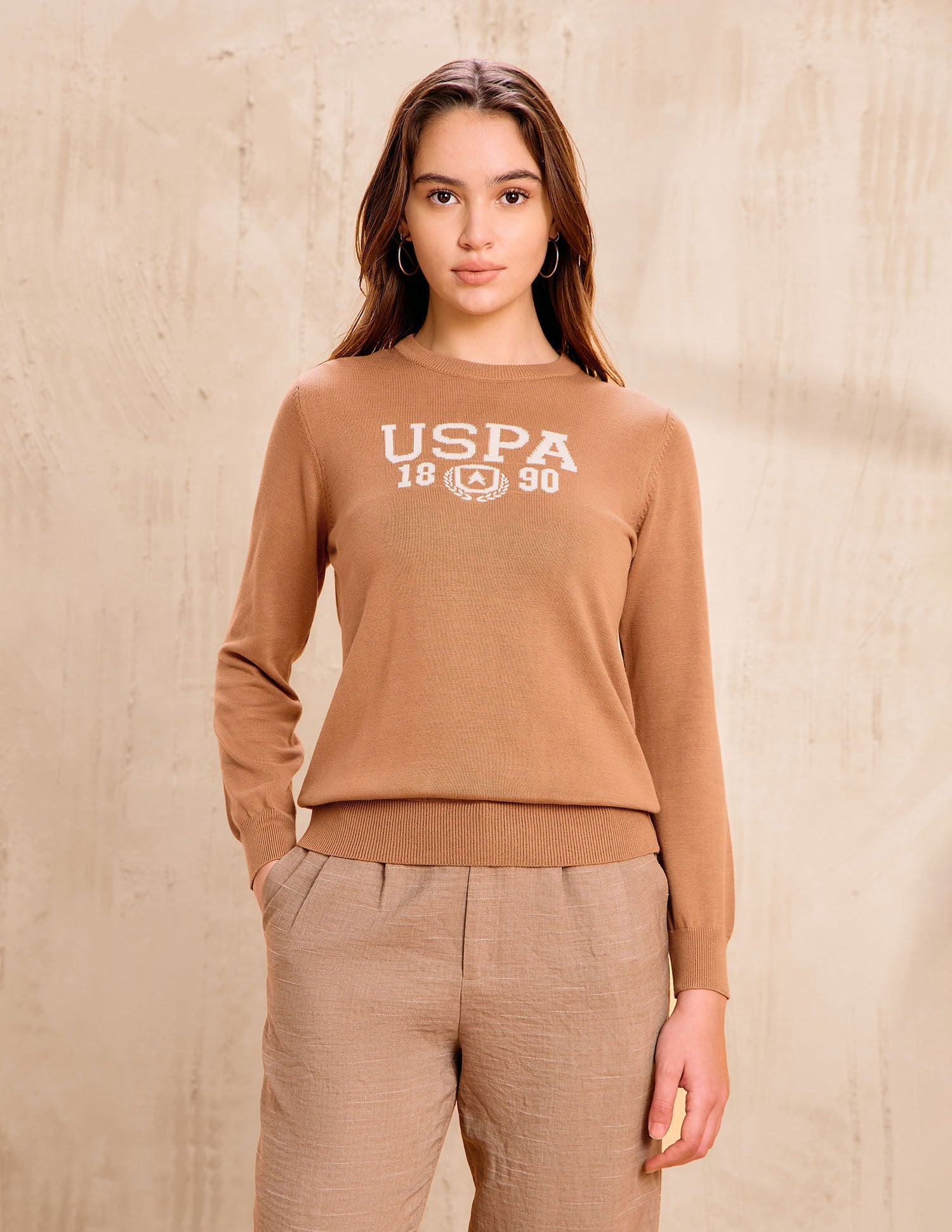 Brand Printed Regular Fit Sweater Brown - U.S. POLO ASSN. | Large