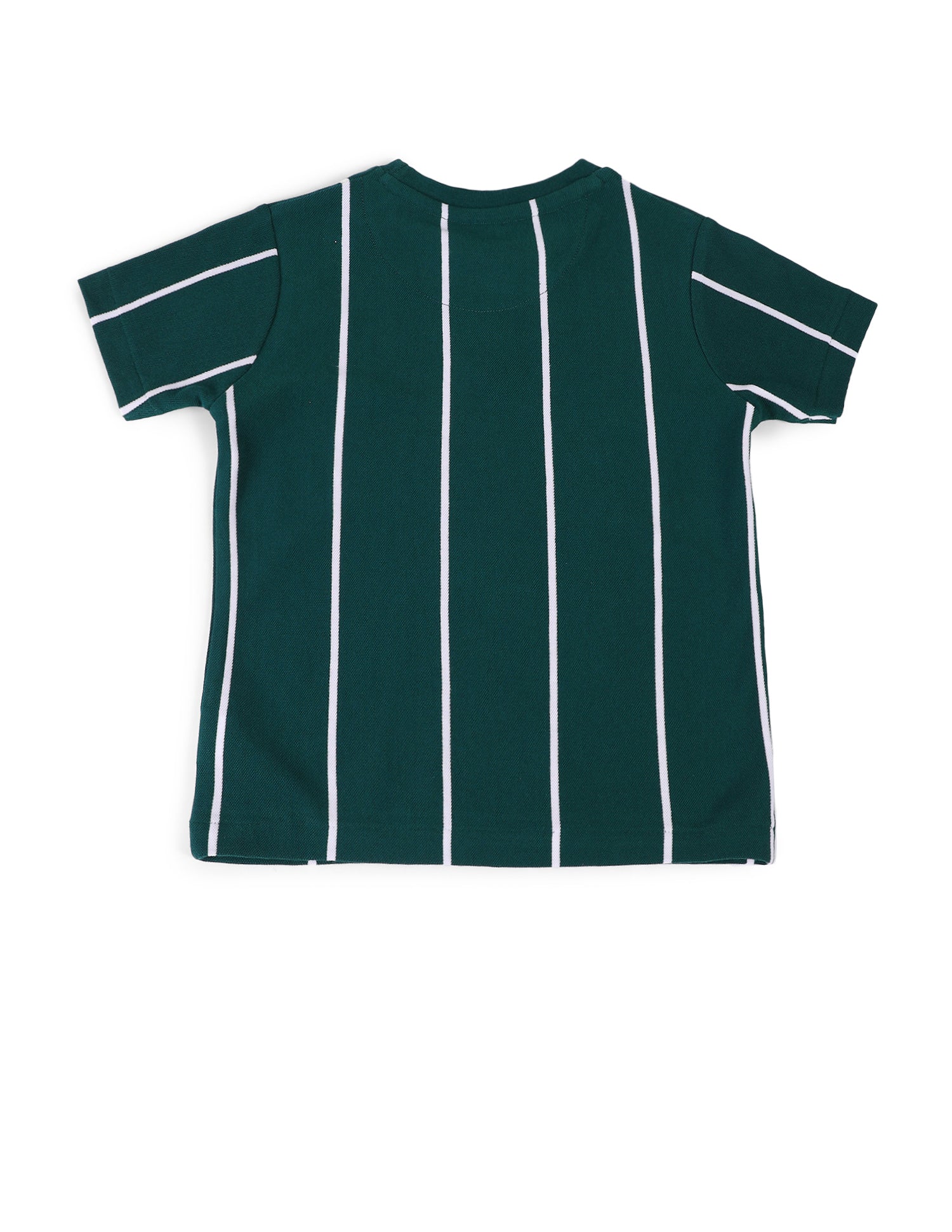 Boys Vertical Striped Regular Fit T-Shirt Dark Green - U.S. Polo Assn. India | Large