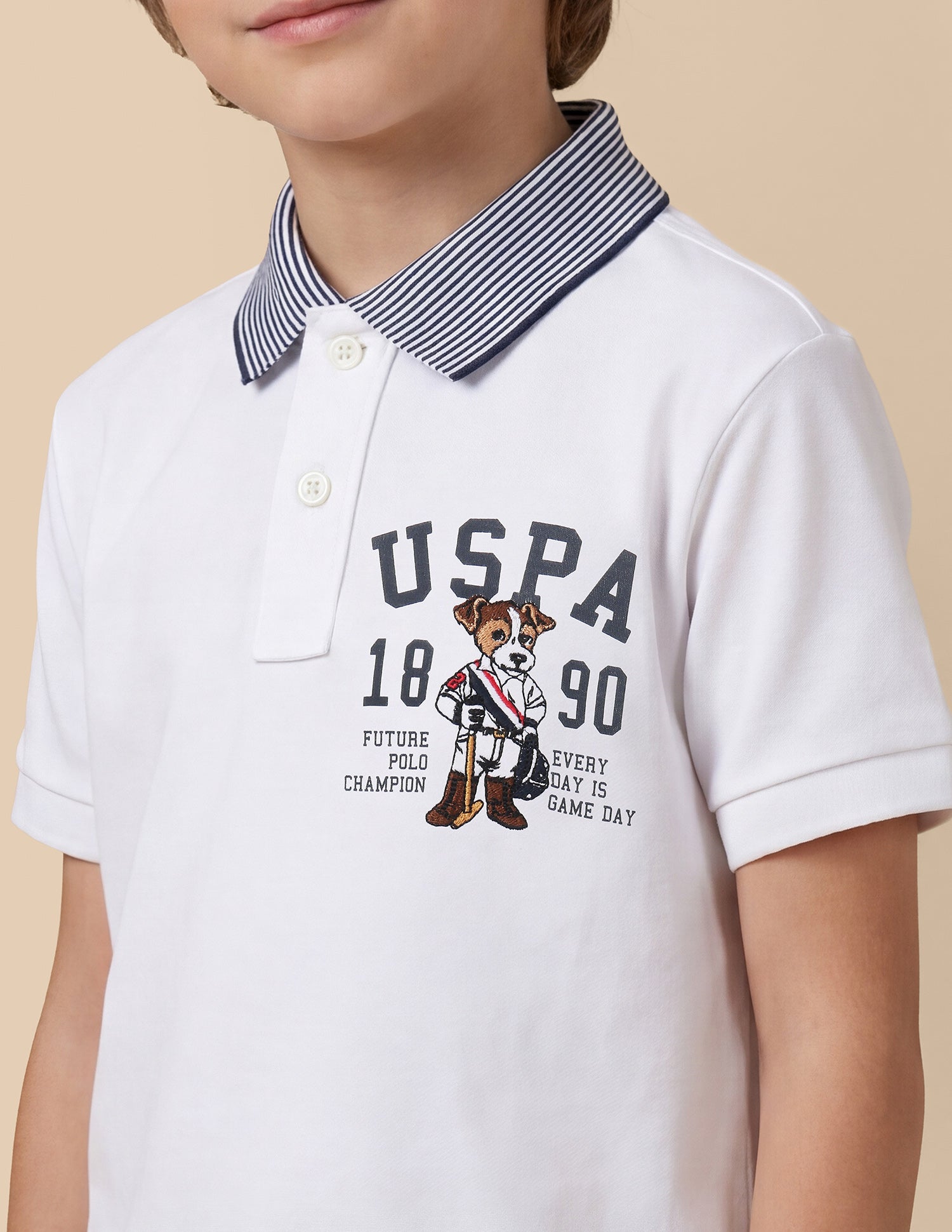 Graphic Printed Regular Fit Polo Shirt White - U.S. Polo Assn. India | Large