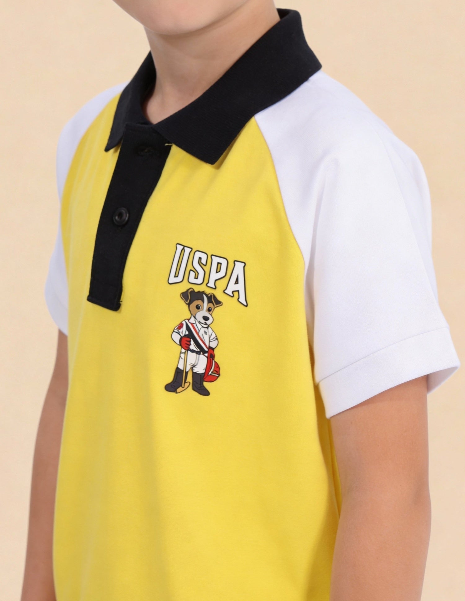 Colour Blocked Regular Fit Polo Shirt Light Yellow - U.S. Polo Assn. India | Large