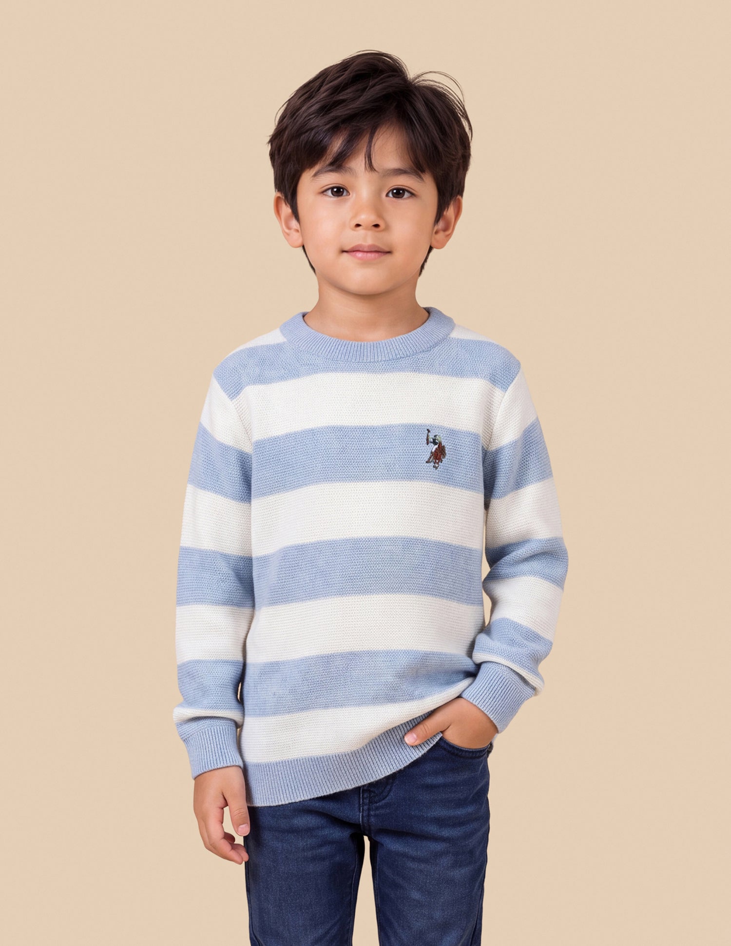 Horizontal Striped Regular Fit Sweater Light Blue - U.S. Polo Assn. India | Large