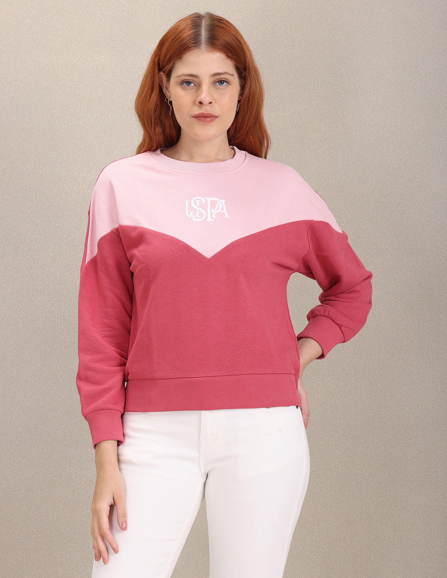 Crew Neck Colour Block Sweatshirt Mauve - U.S. Polo Assn. India | Large