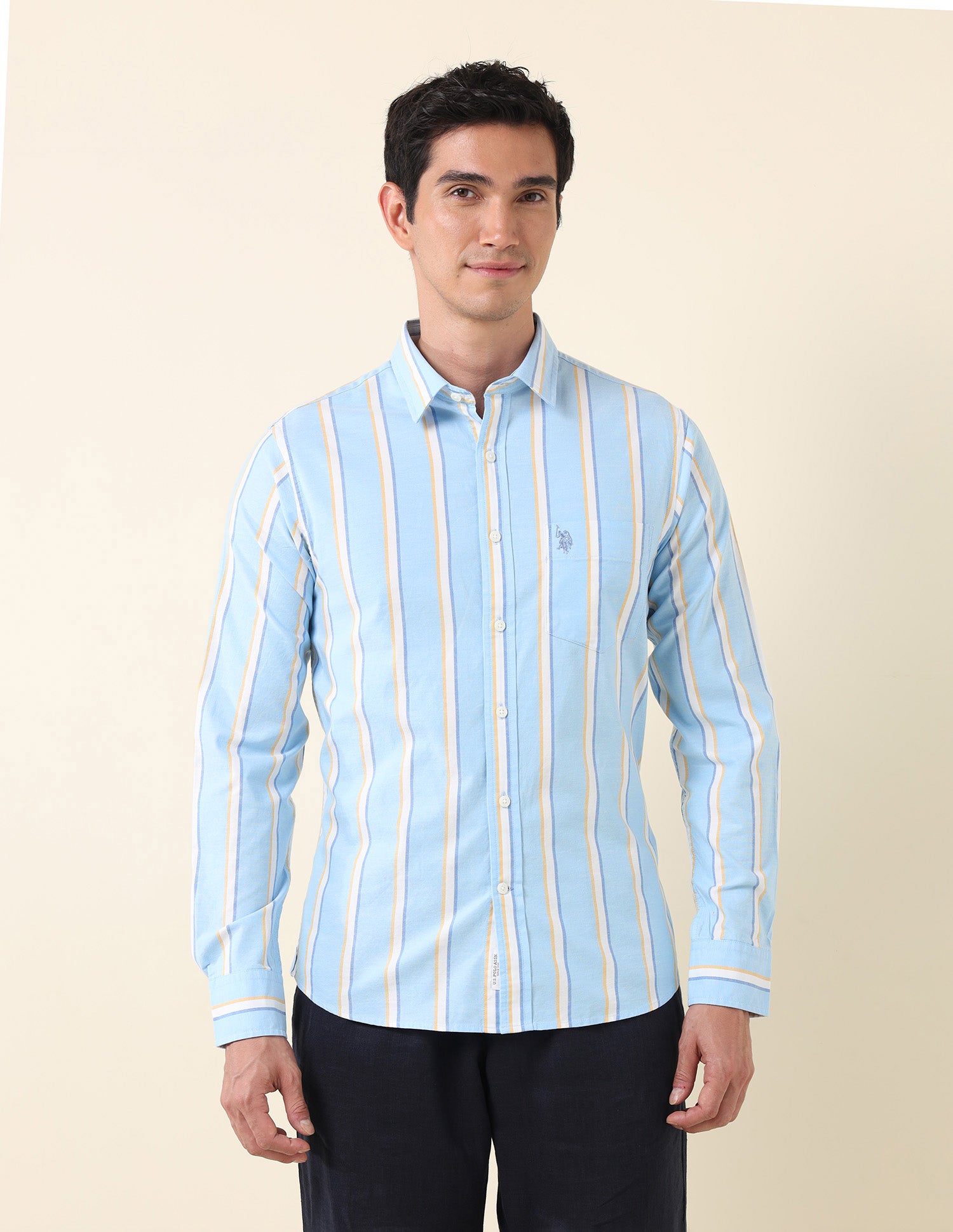 Vertical Striped Oxford Shirt Blue - U.S. Polo Assn. India | Large