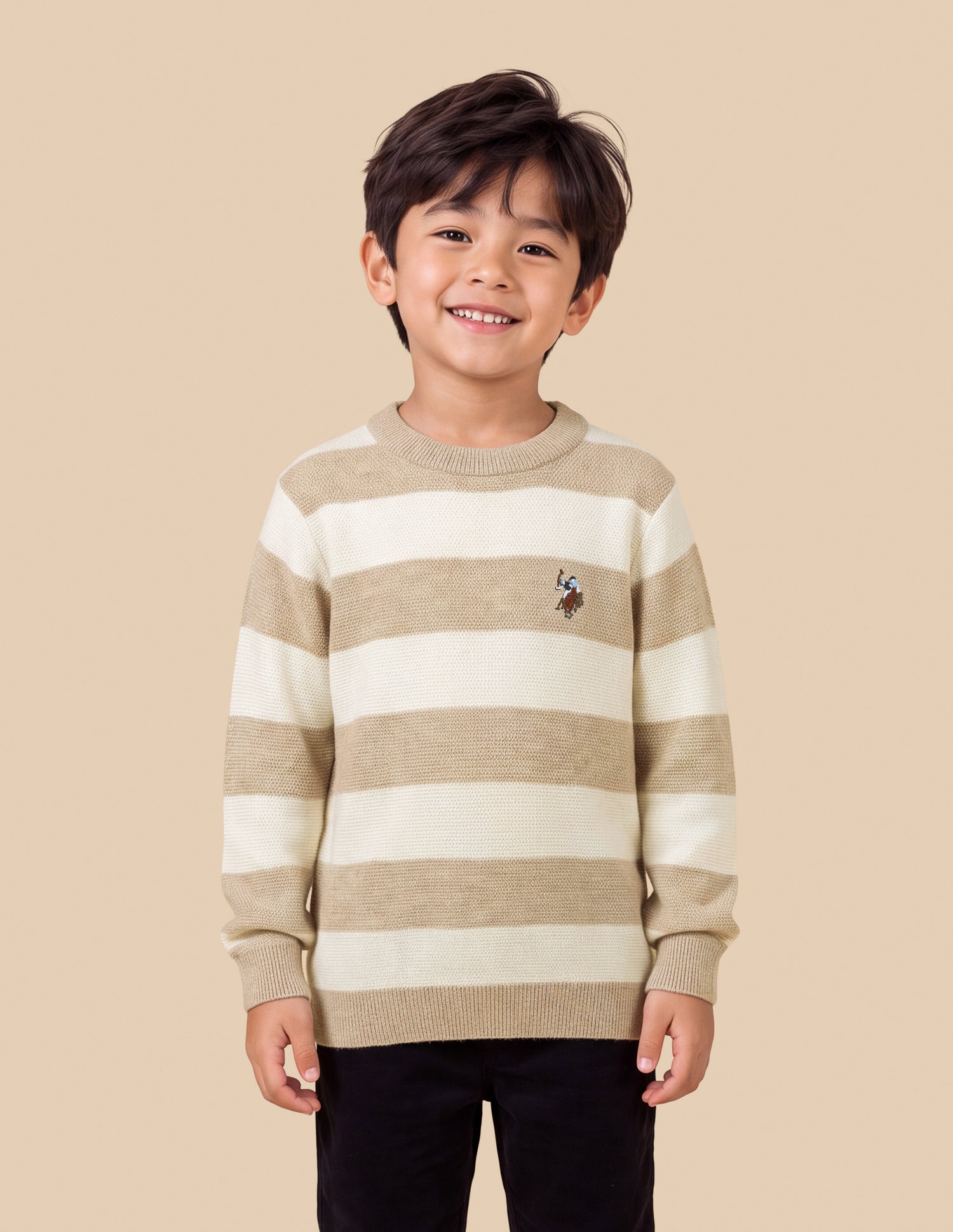 Horizontal Striped Regular Fit Sweater Beige - U.S. Polo Assn. India | Large
