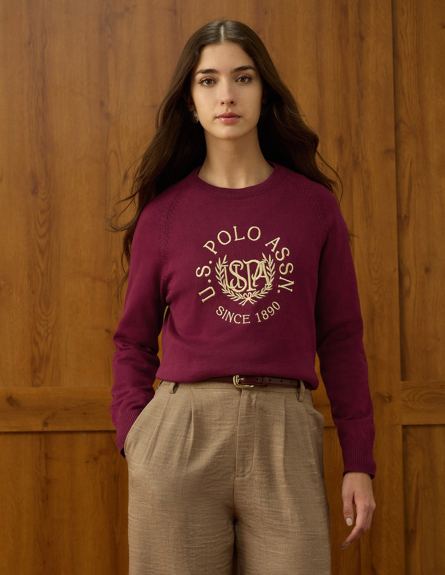 Brand Printed Raglan Fit Sweater Brown - U.S. POLO ASSN. | Large