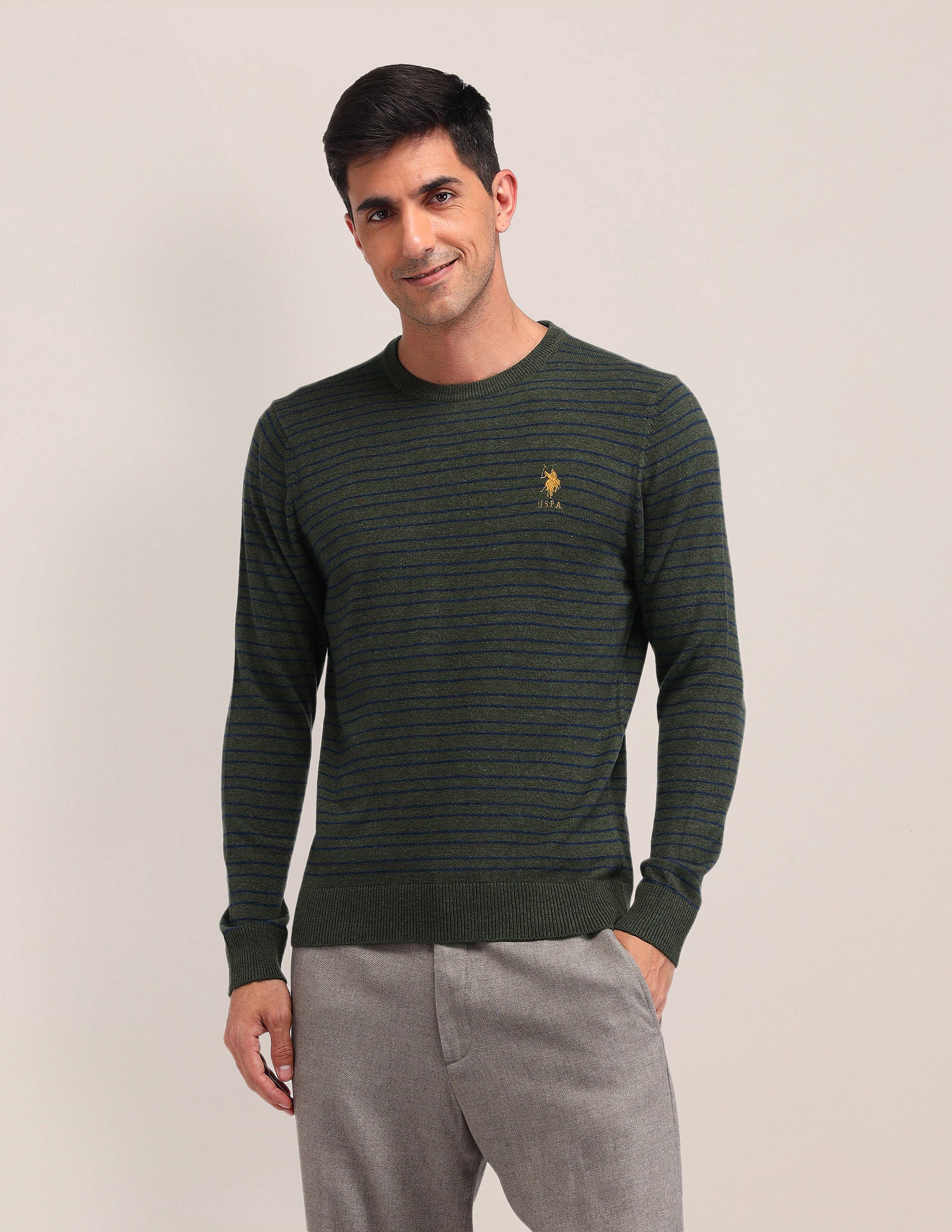 Regular Fit Striped Sweater Green - U.S. Polo Assn. India | Large