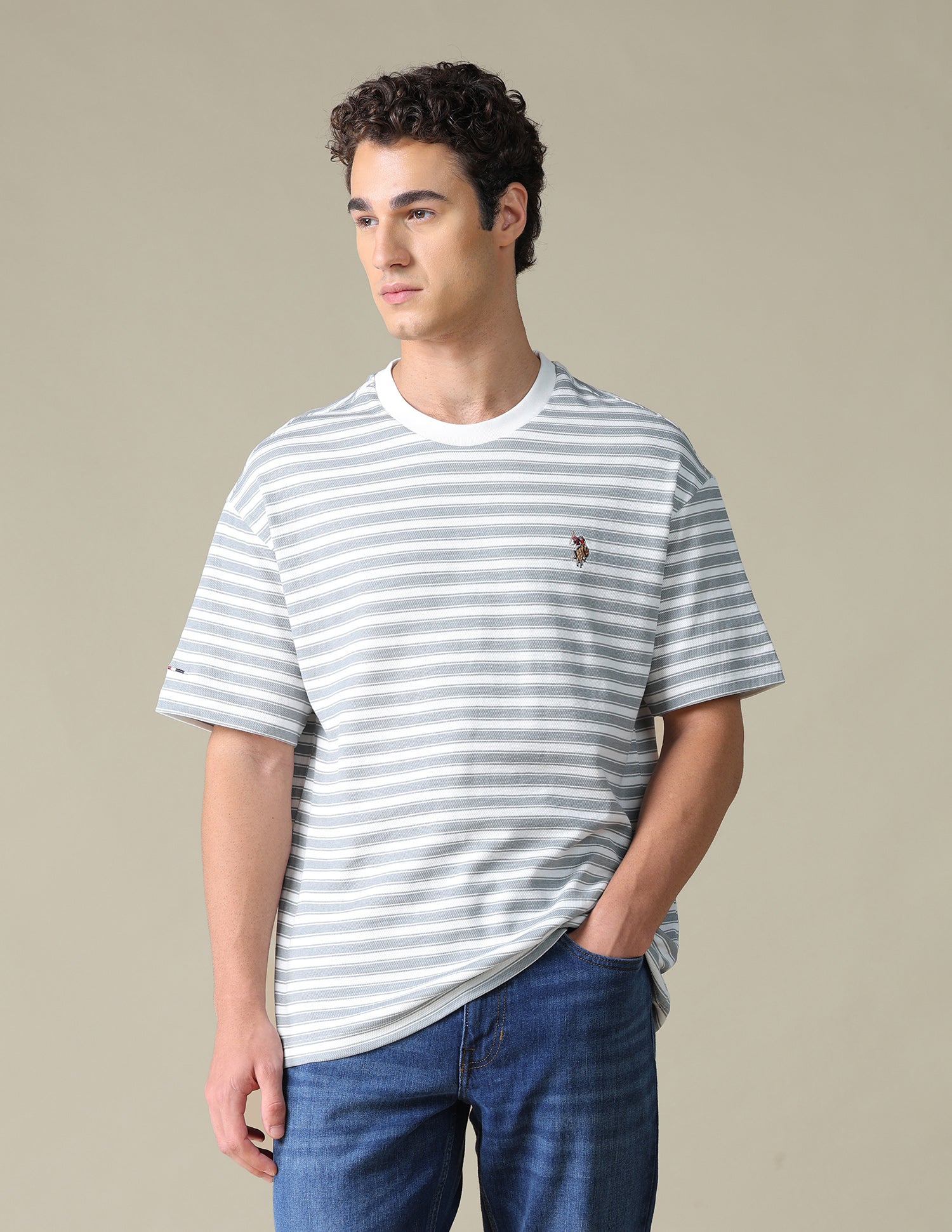 Relaxed Fit Horizontal Striped T-Shirt Grey - U.S. Polo Assn. India | Large