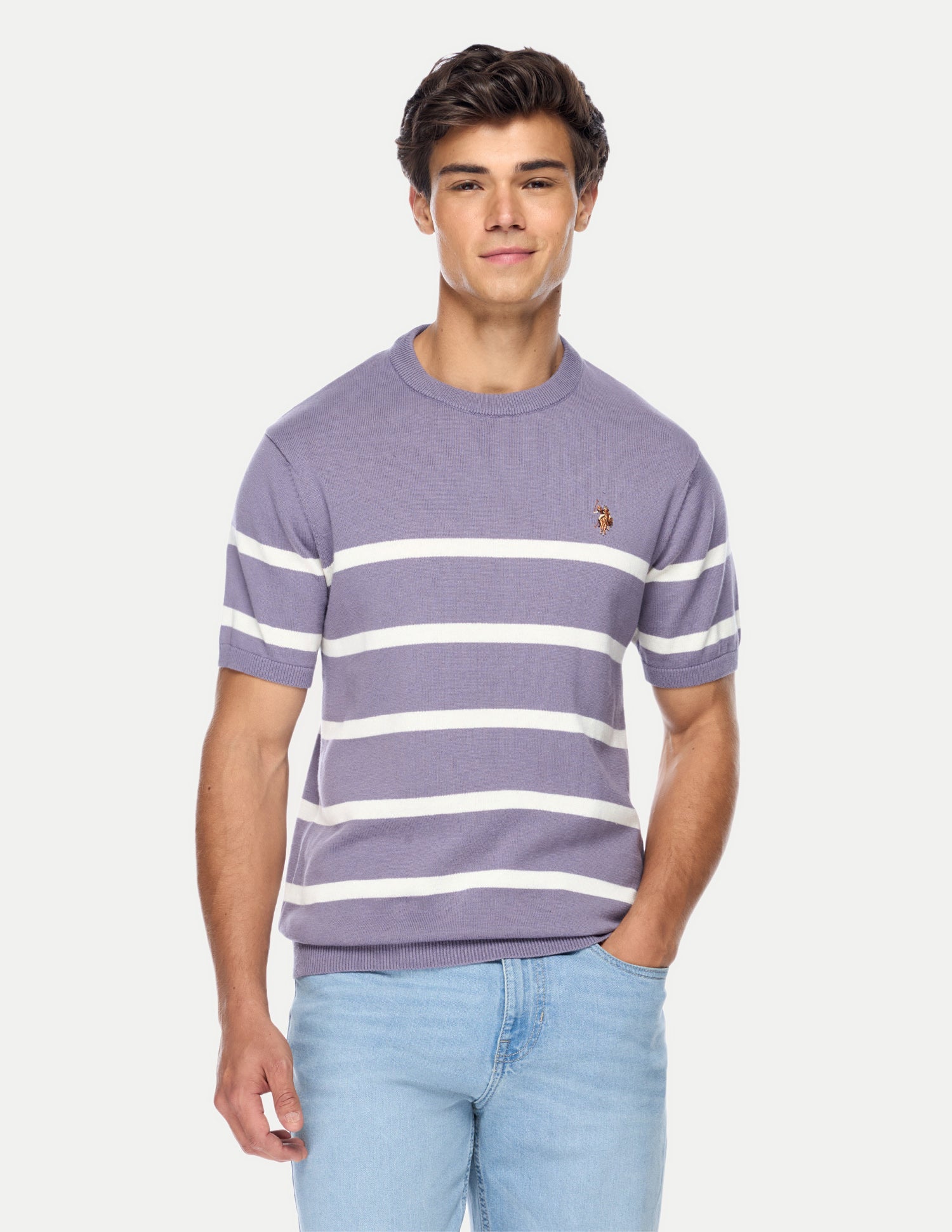 Horizontal Striped Regular Fit Sweater Purple - U.S. Polo Assn. India | Large