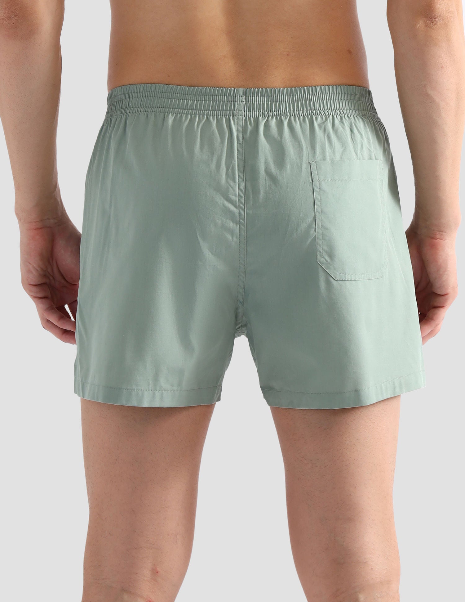 Comfort Regular Fit Solid OEX08 Boxers - Pack of 2 Crabapple Iceberg and Green - U.S. POLO ASSN. | Large