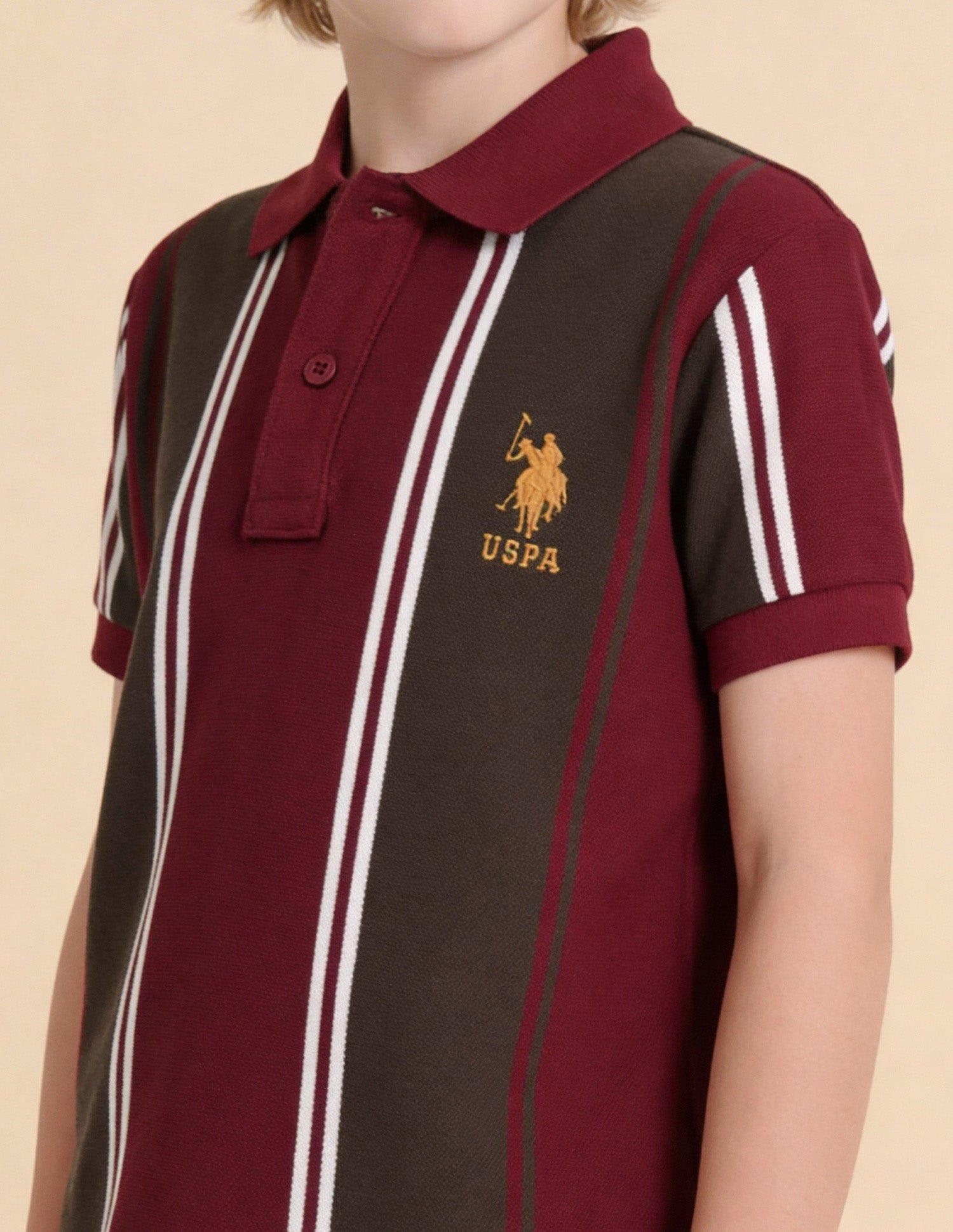 Vertical Striped Regular Fit Polo Shirt Maroon - U.S. Polo Assn. India | Large