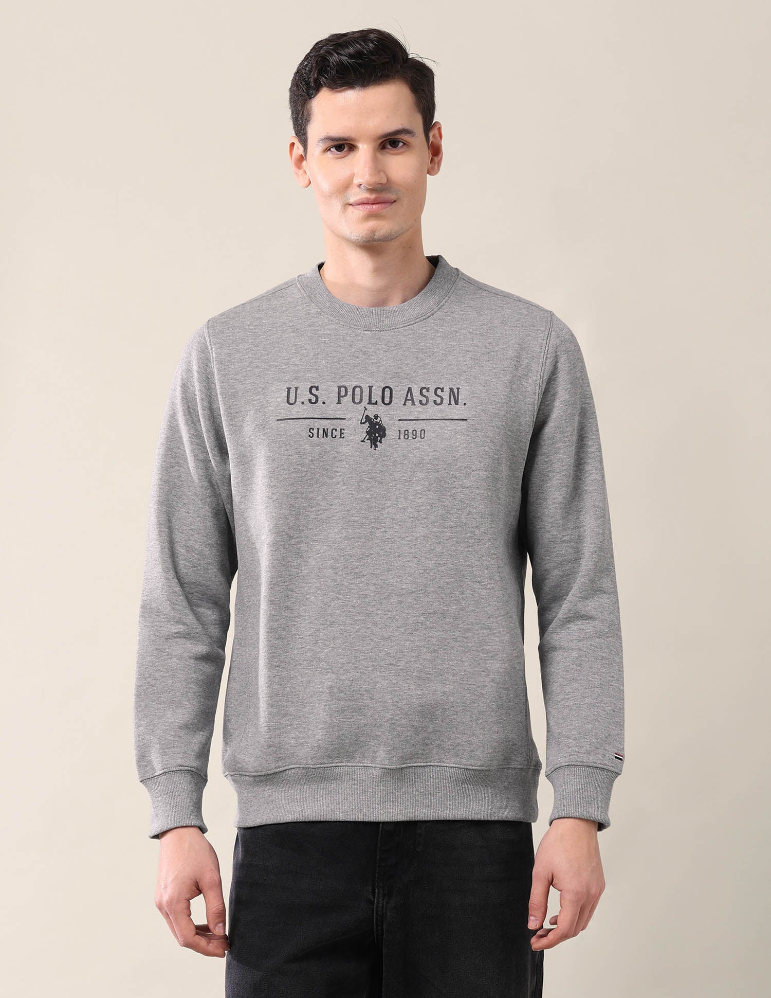 Brand Printed Crew Neck Sweatshirt Grey Mel - U.S. Polo Assn. India | Large