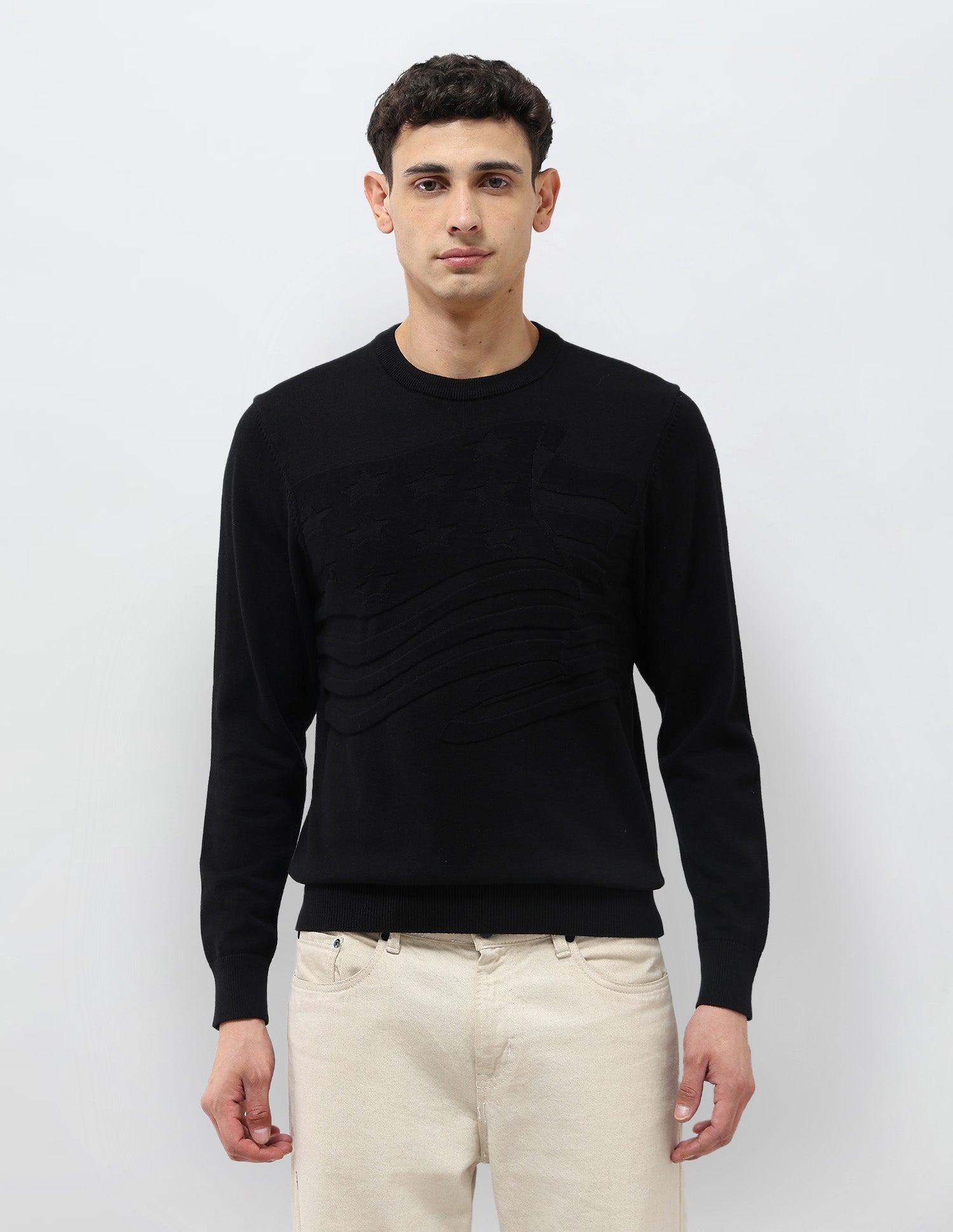 Textured Regular Fit Sweater Black - U.S. POLO ASSN. | Large