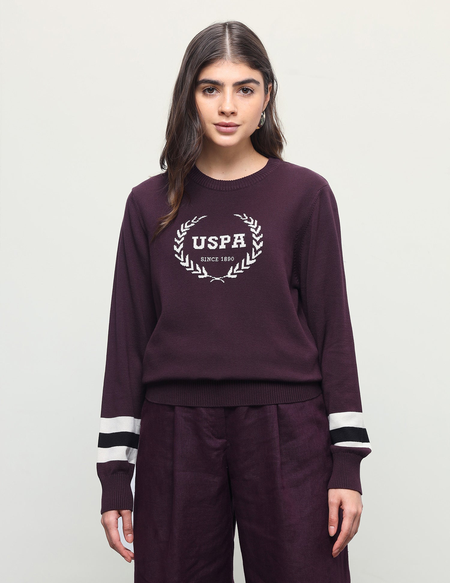 Brand Patterned Knit Regular Fit Sweater Purple - U.S. Polo Assn. India | Large