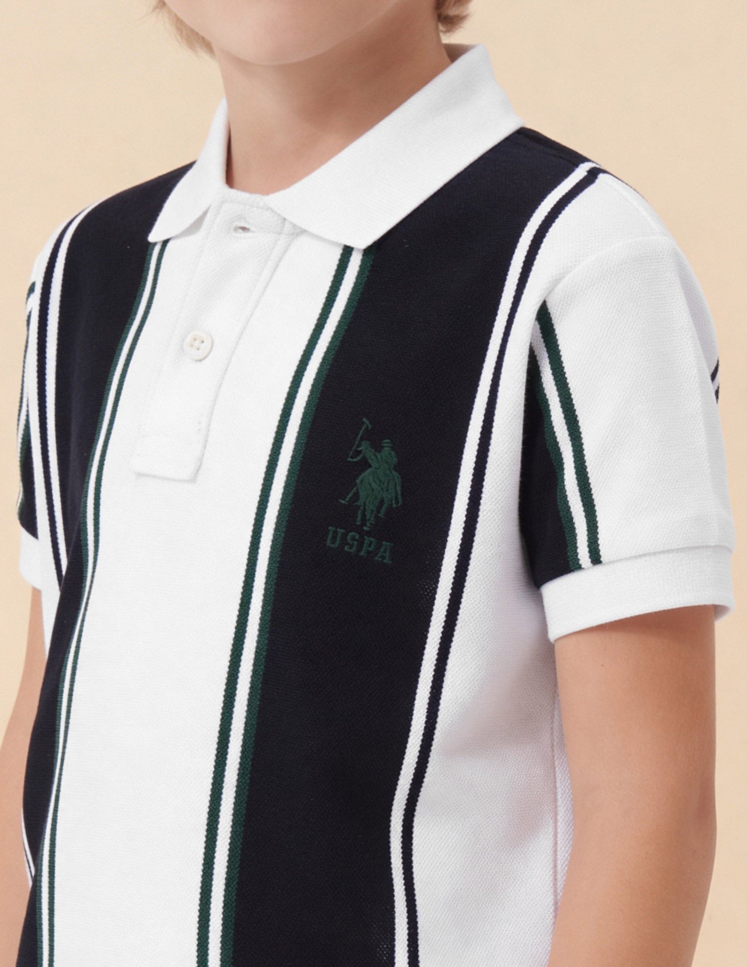 Vertical Striped Colorblocked Regular Fit Polo Shirt White - U.S. Polo Assn. India | Large