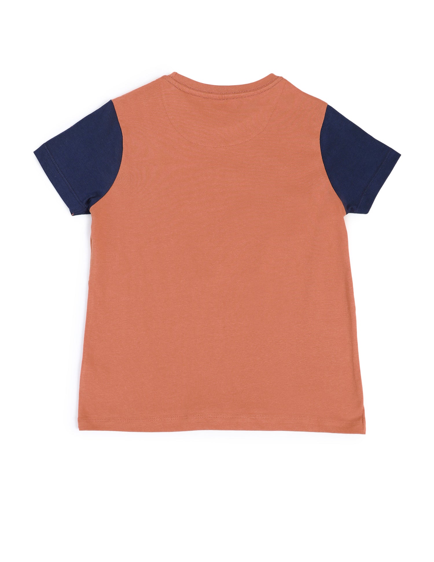 Boys Round Neck Graphic Printed T-Shirt Rust - U.S. POLO ASSN. | Large