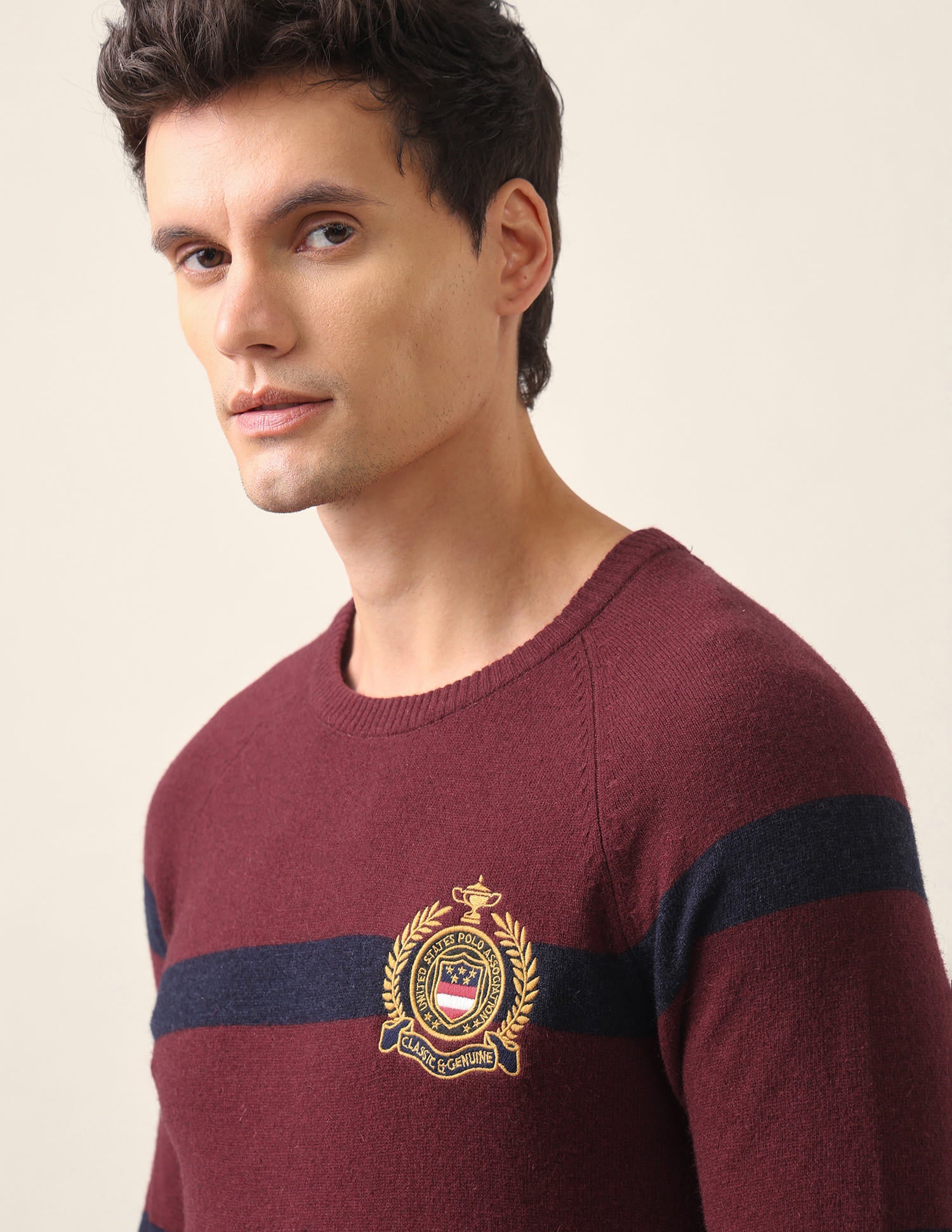 Crew Neck Horizontal Stripe Sweater Maroon - U.S. Polo Assn. India | Large