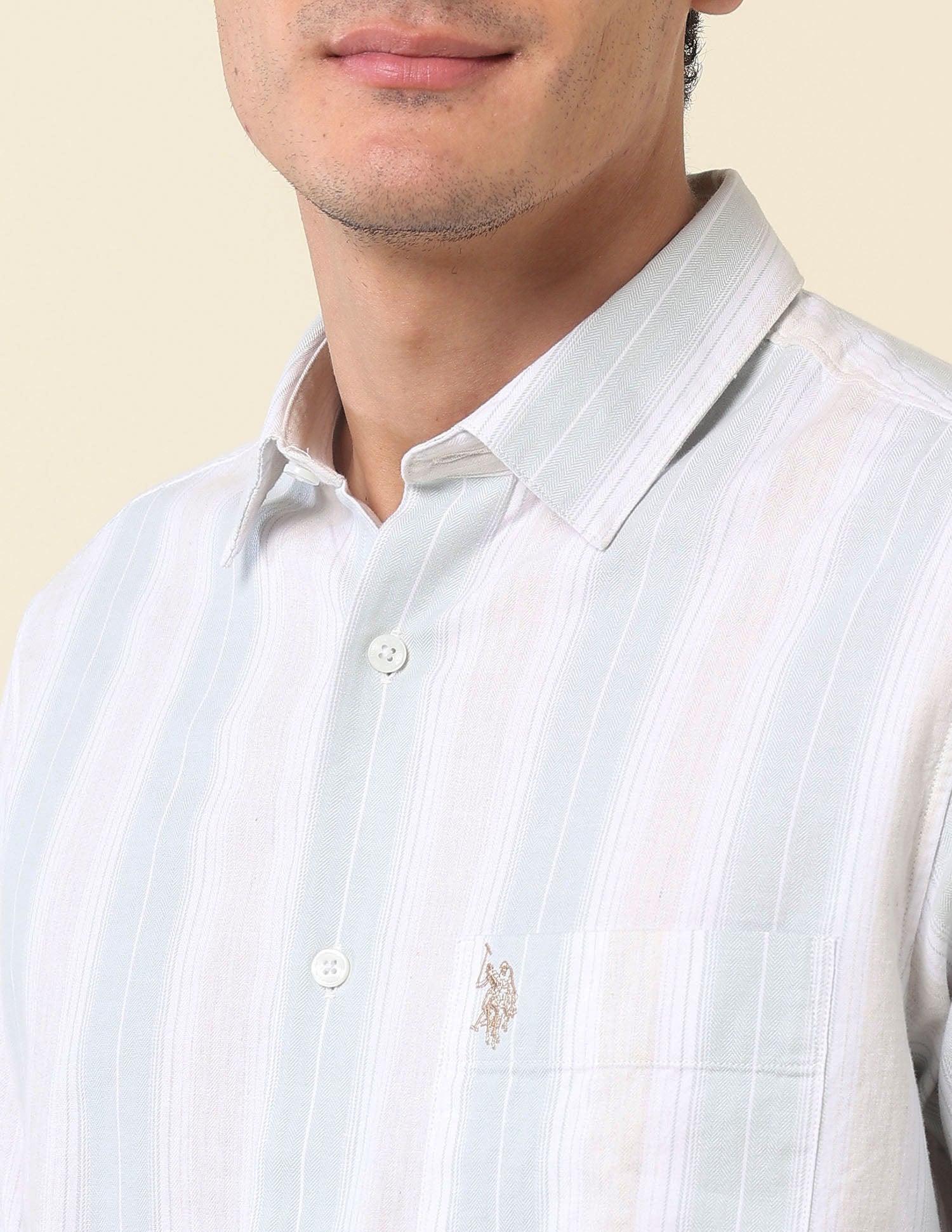 Vertical Striped Twill Shirt Light Green - U.S. Polo Assn. India | Large