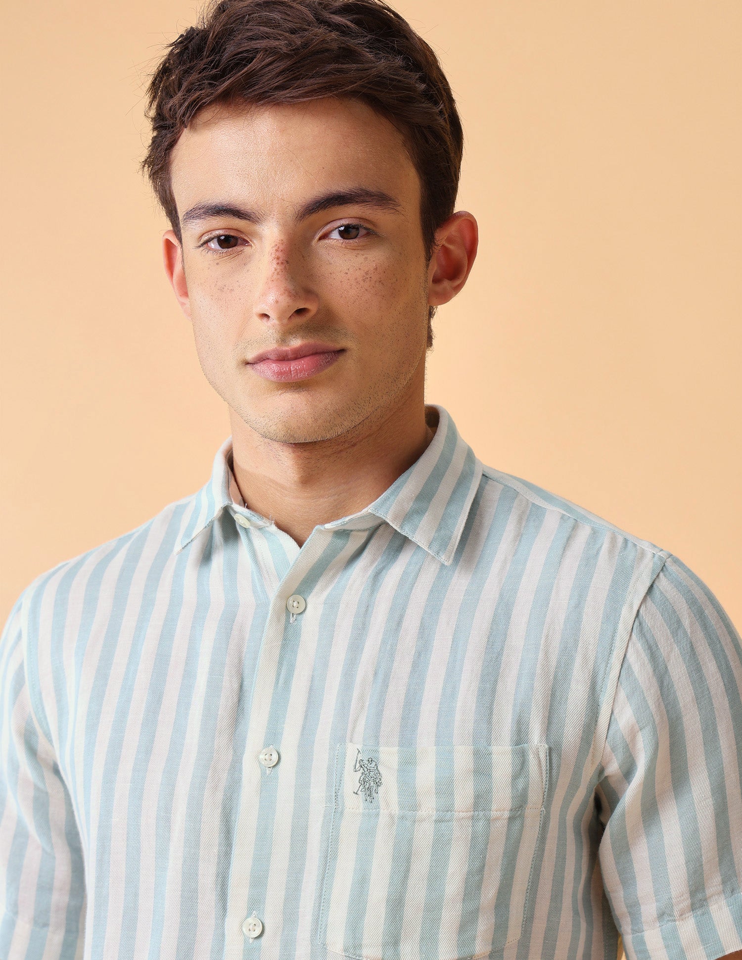 Vertical Striped Regular Fit Shirt Light Green - U.S. Polo Assn. India | Large