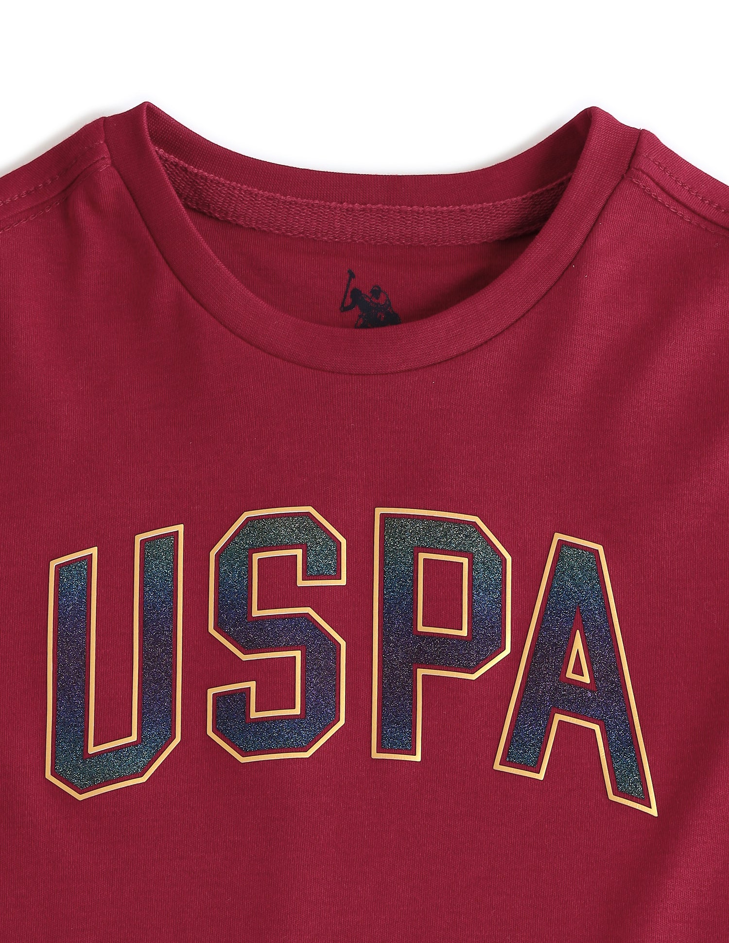 Boys Brand Printed Regular Fit T-Shirt Tawny Port - U.S. Polo Assn. India | Large