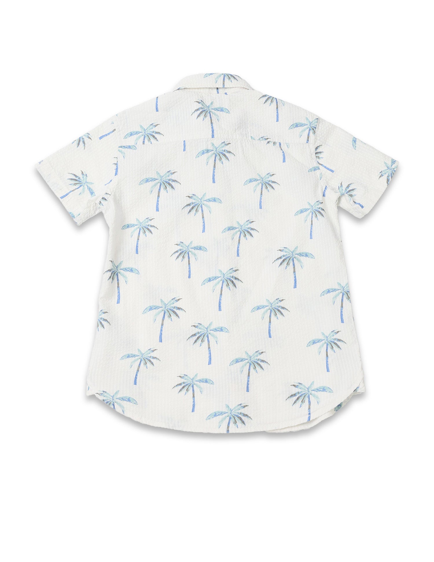 Boys Tropical Printed Boxy Fit Shirt Ecru - U.S. POLO ASSN. | Large