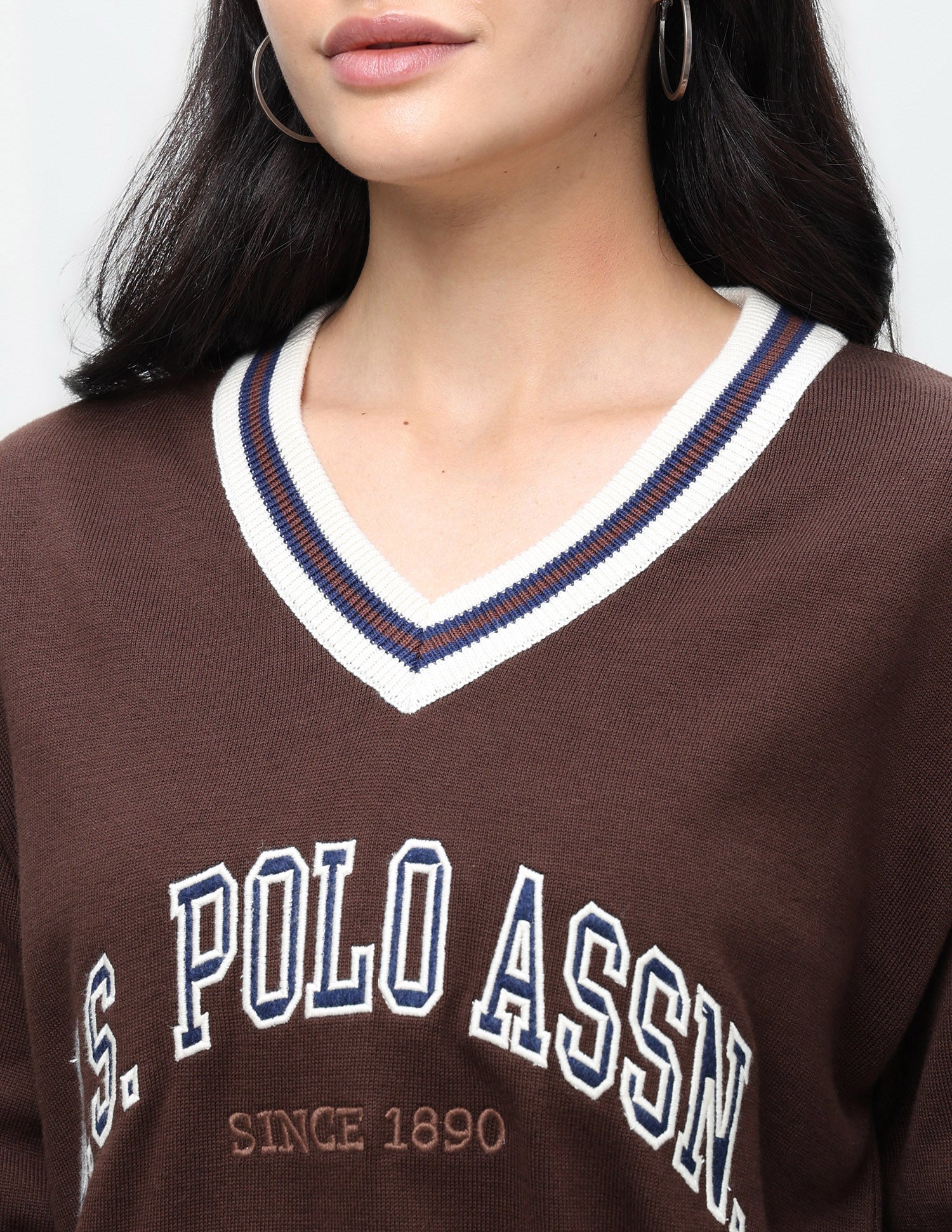 Brand Embroidered Regular Fit Sweater Brown - U.S. Polo Assn. India | Large