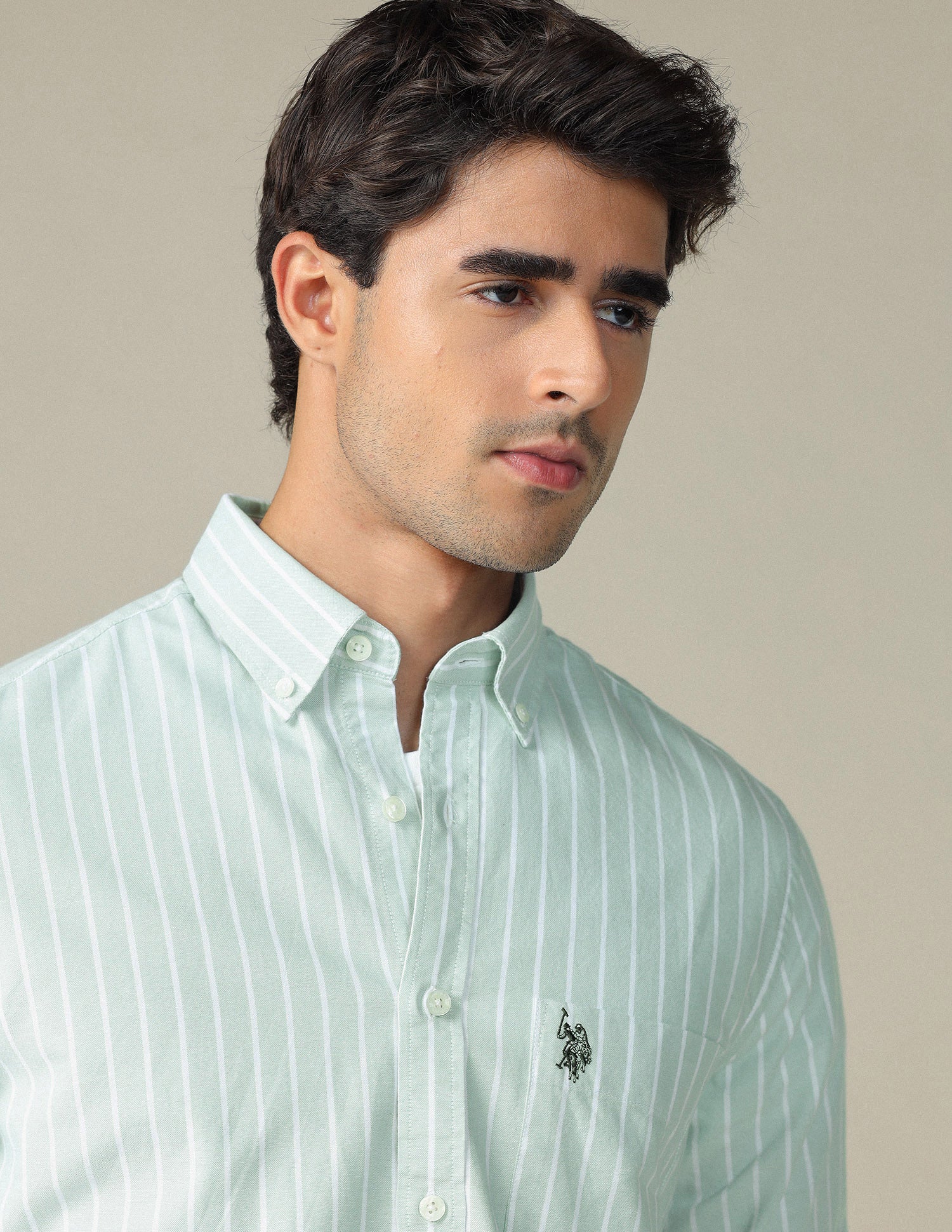Vertical Striped Button Down Shirt Green - U.S. Polo Assn. India | Large