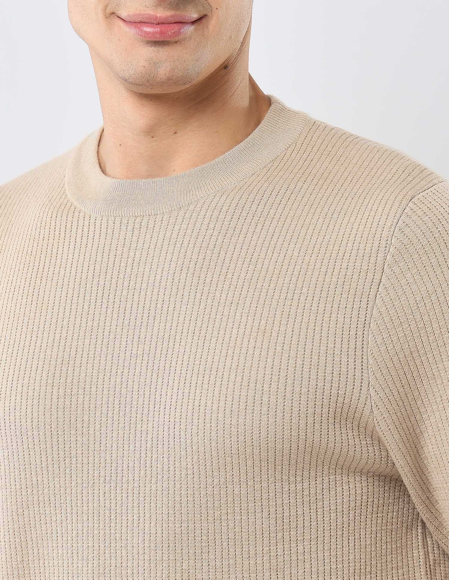 Patterned Knit Regular Fit Sweater Beige - U.S. POLO ASSN. | Large