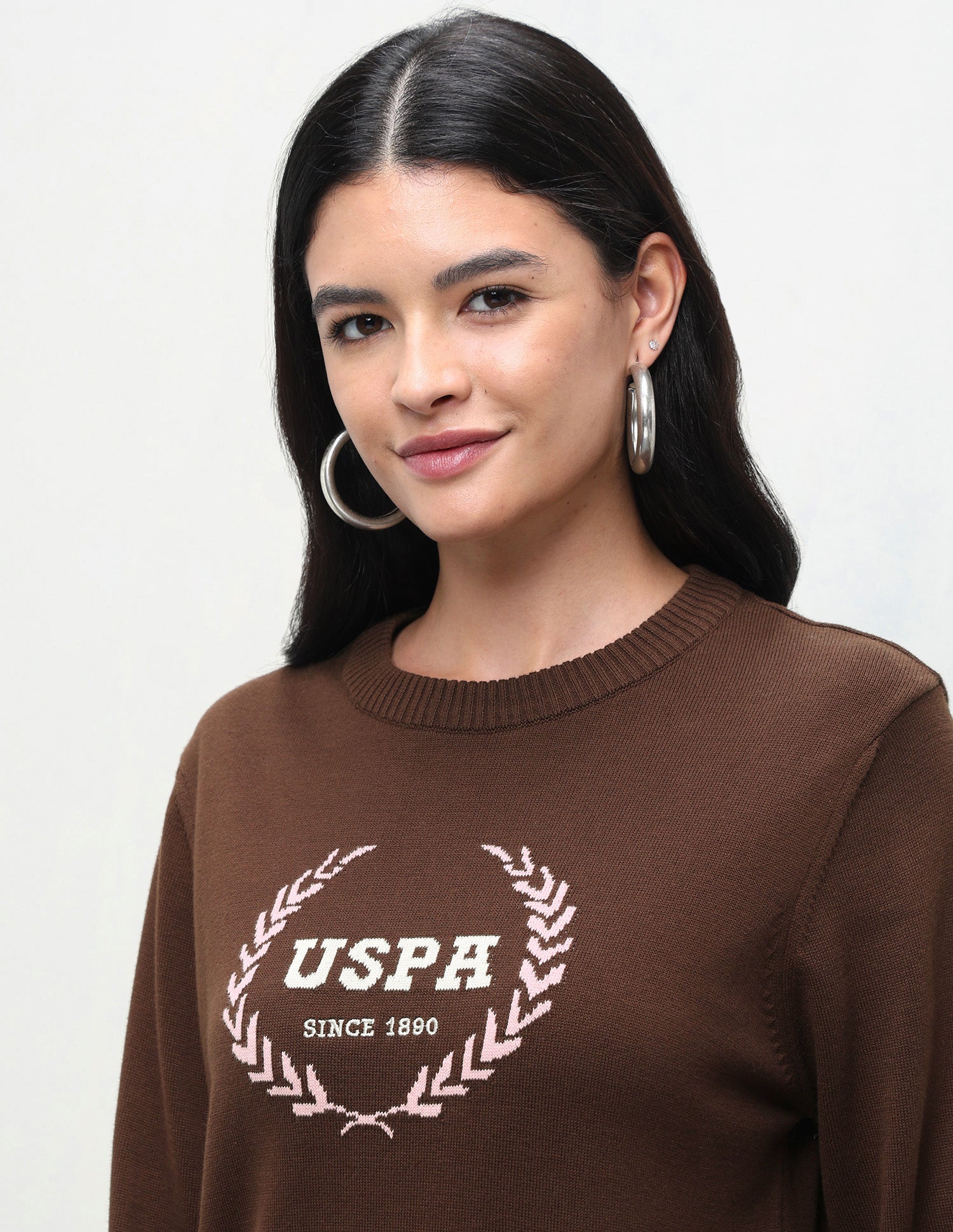 Brand Patterned Knit Regular Fit Sweater Brown - U.S. Polo Assn. India | Large