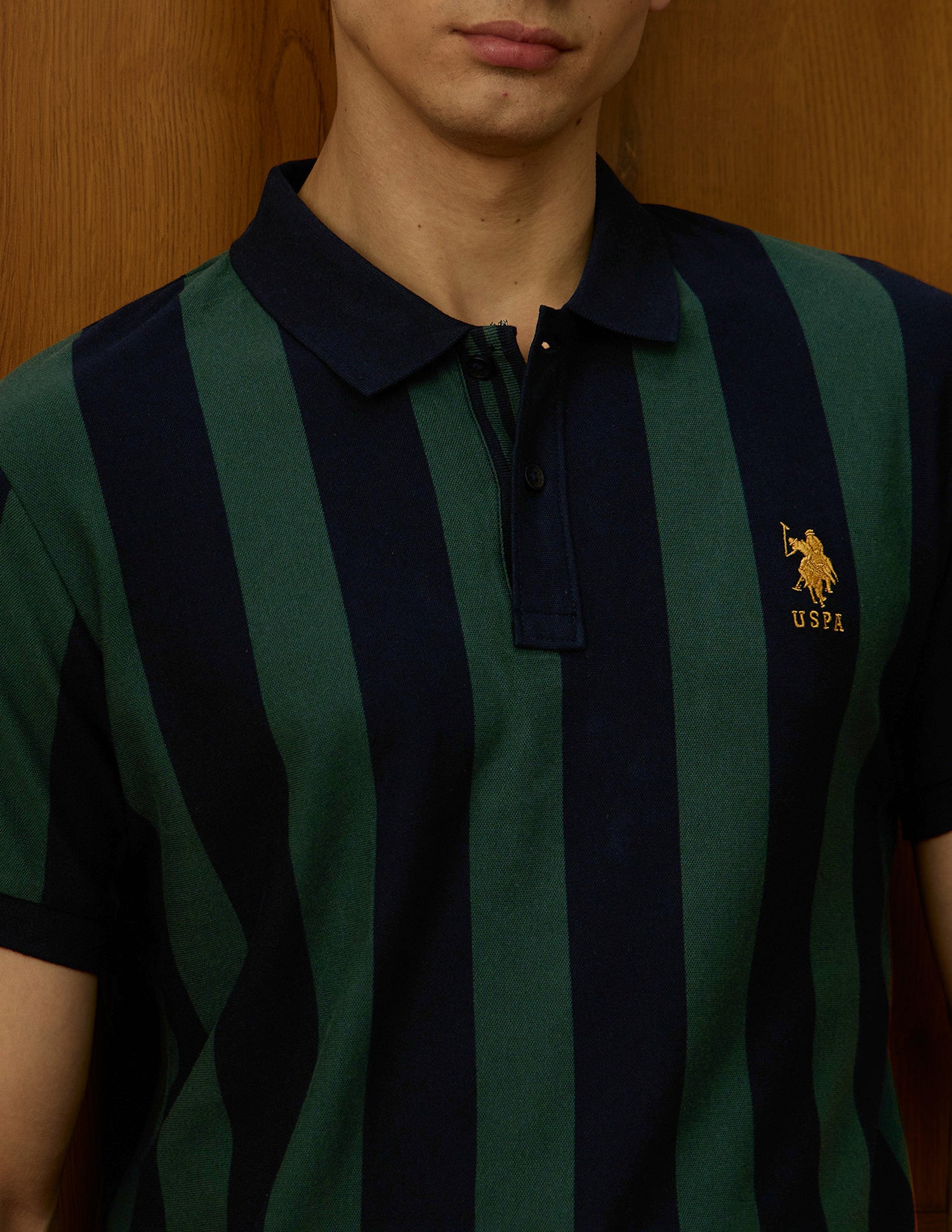 Vertical Striped Varsity Polo Shirt Olive - U.S. Polo Assn. India | Large