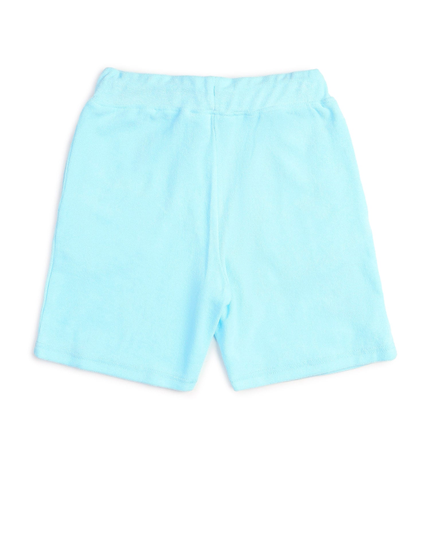 Boys Brand Embroidered Regular Fit Shorts Light Blue - U.S. POLO ASSN. | Large