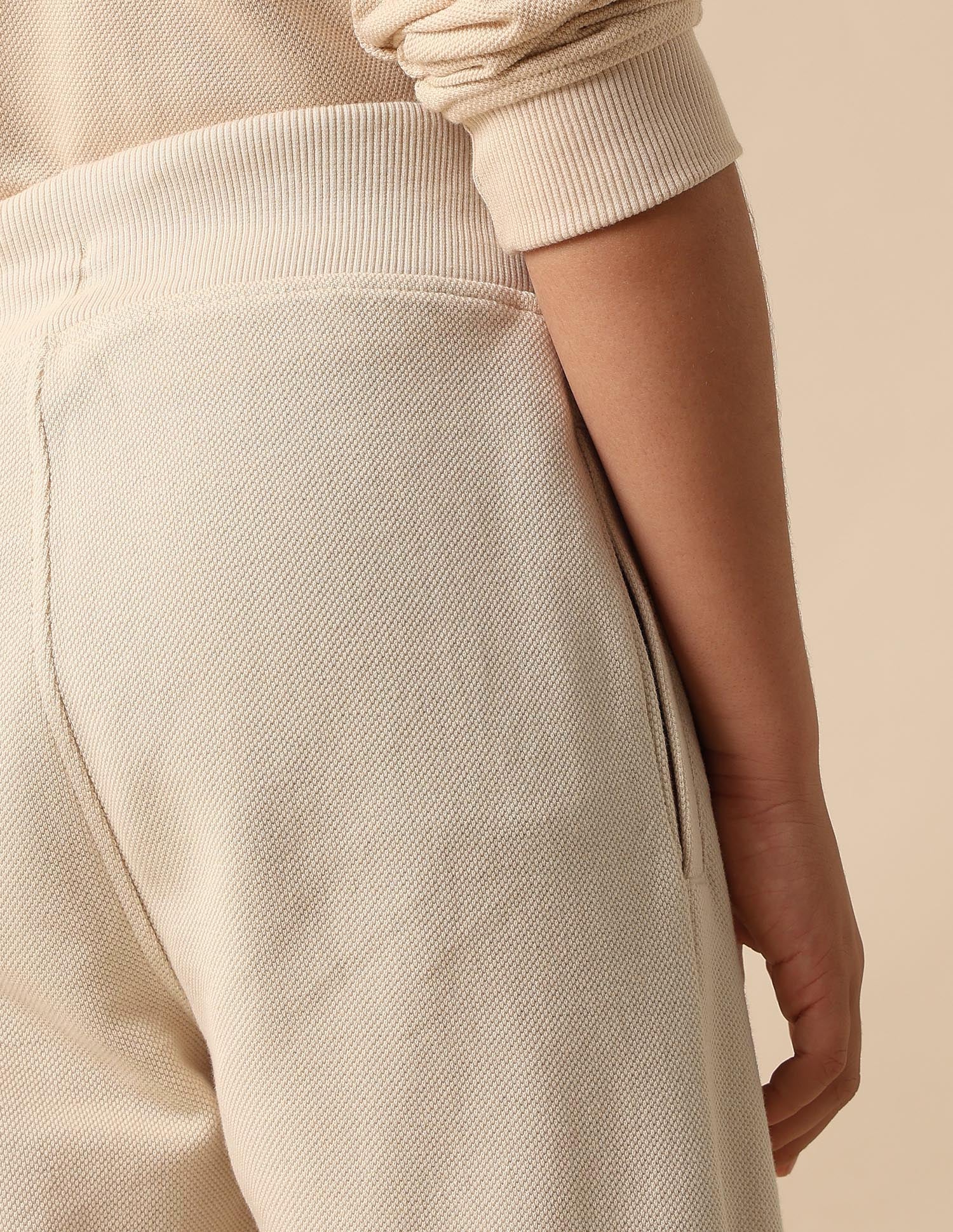 Textured Regular Fit Joggers Beige - U.S. POLO ASSN. | Large