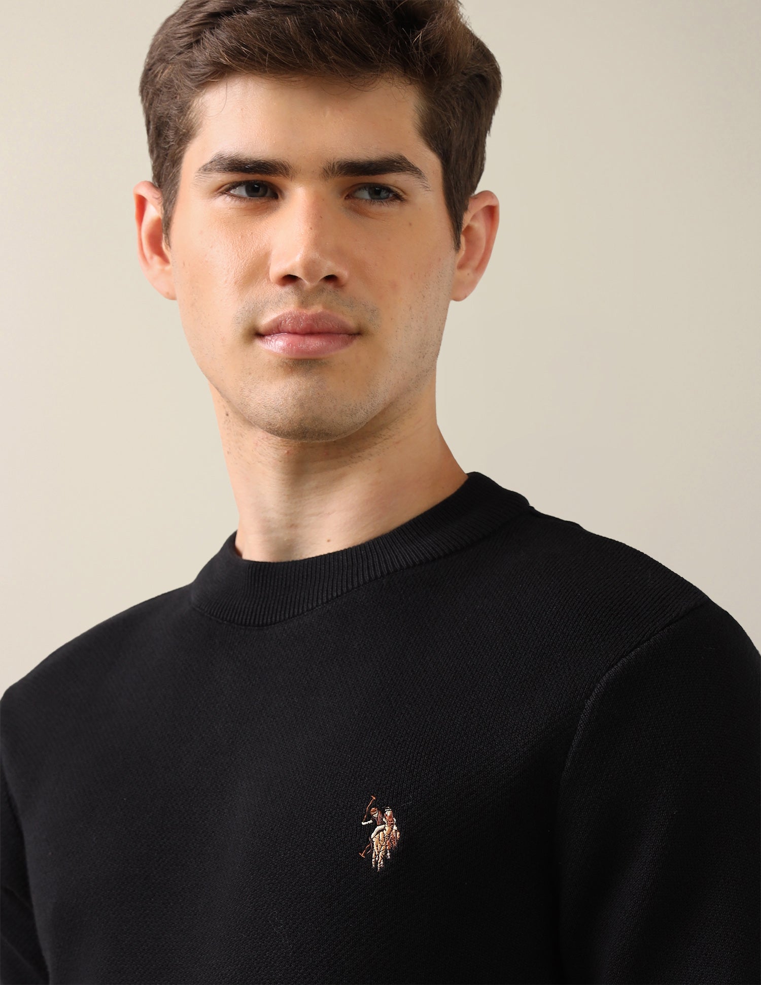 Solid Regular Fit Sweater Black - U.S. Polo Assn. India | Large