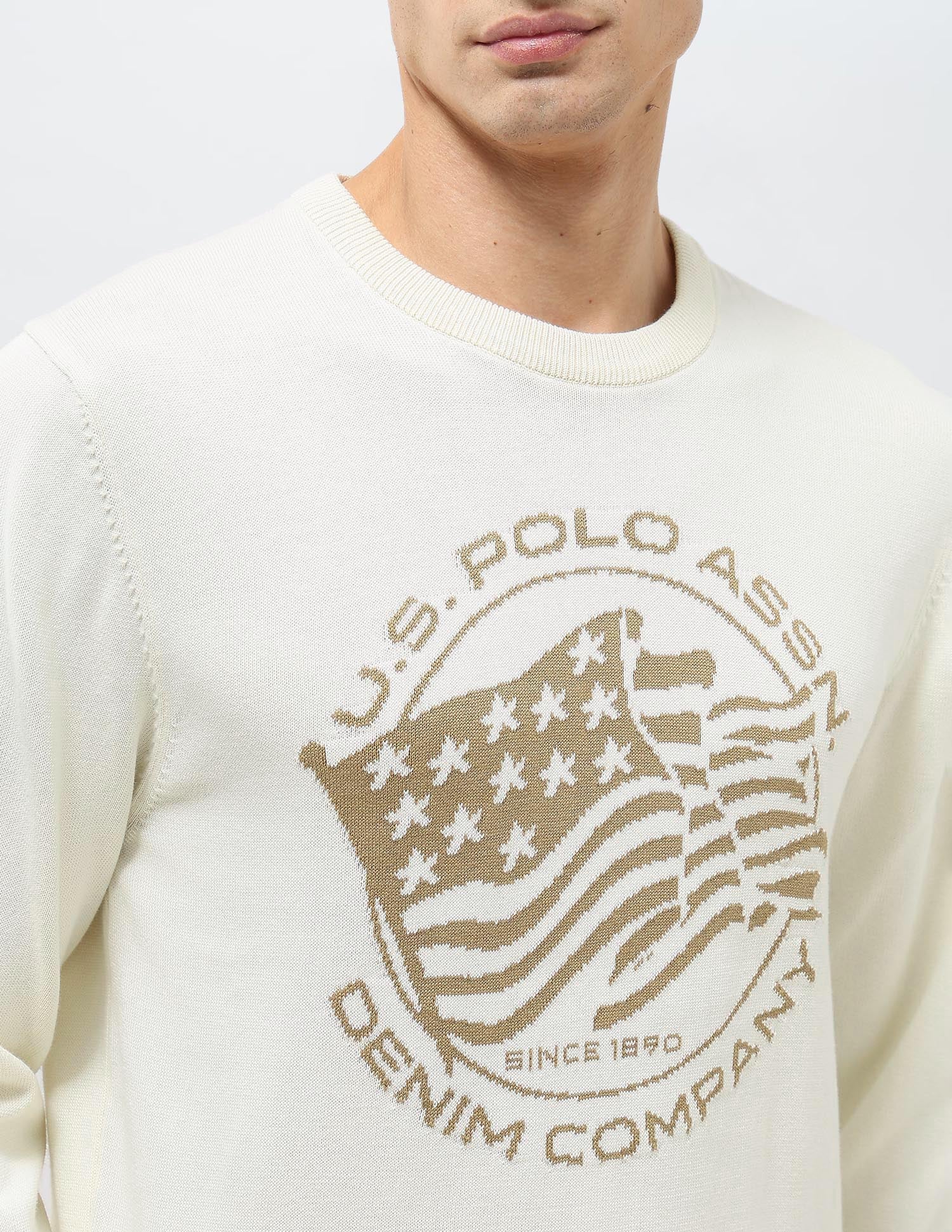 Brand Patterned Knit Regular Fit Sweater Ivory - U.S. POLO ASSN. | Large